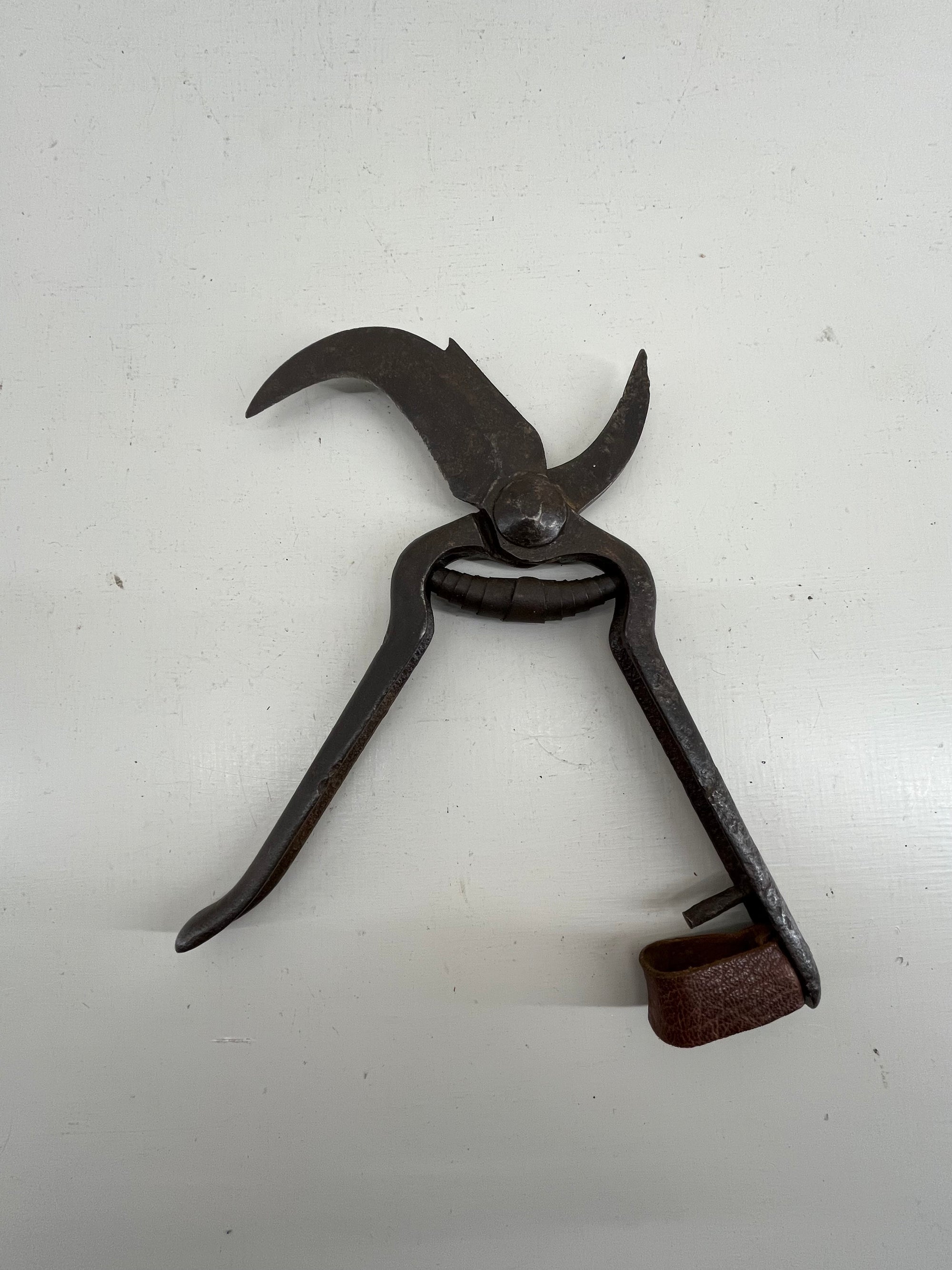 French Vine Secateurs