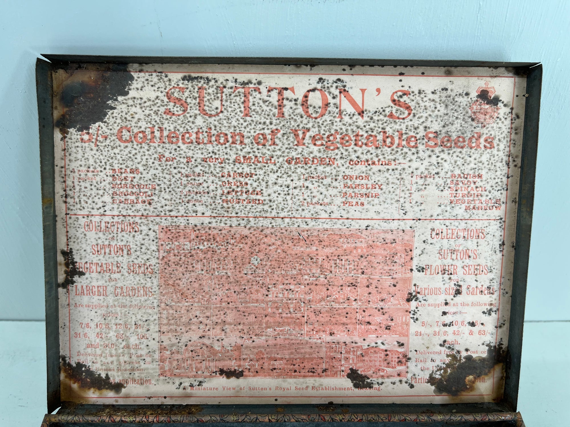 Suttons Seeds Tin