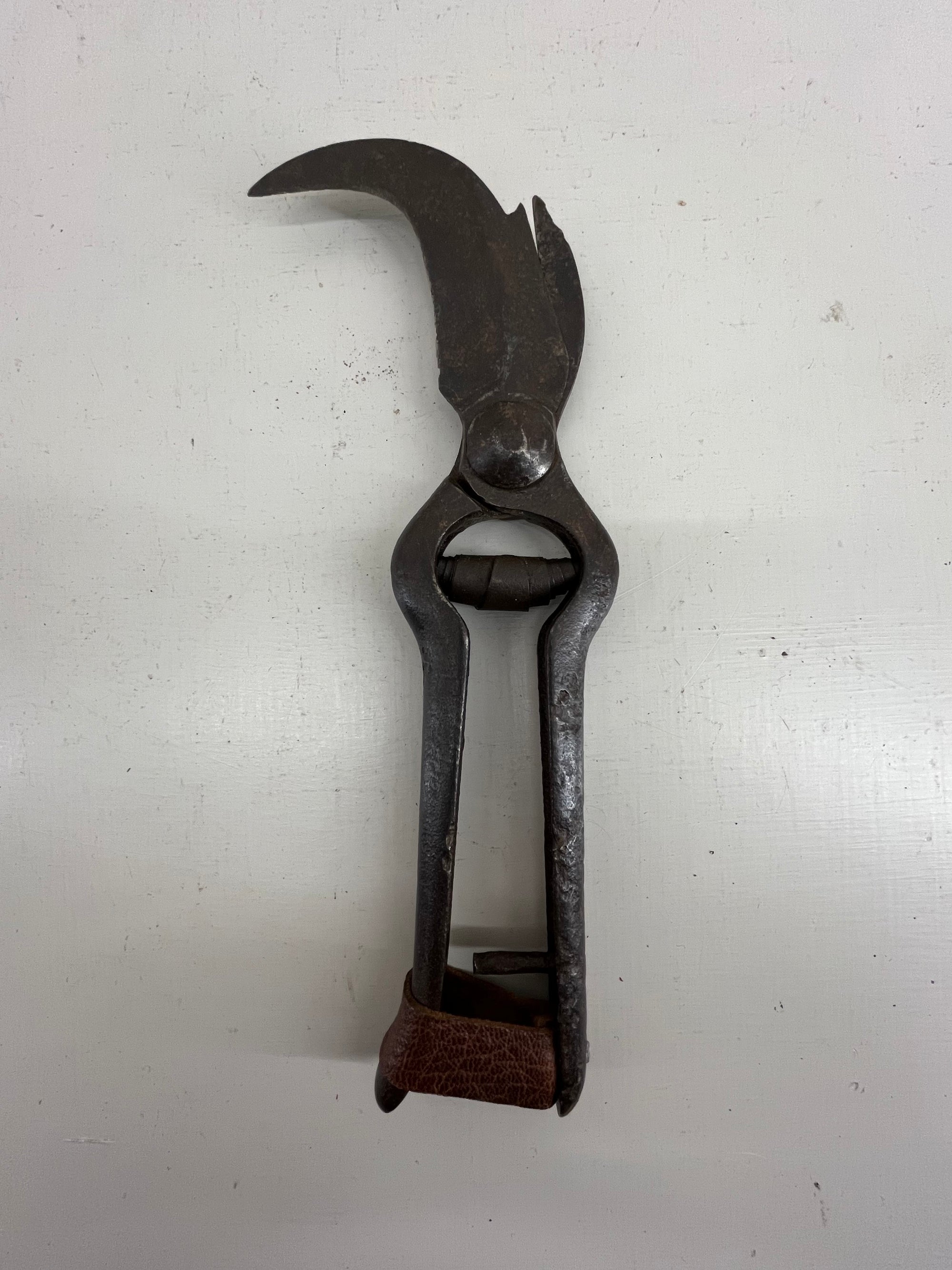 French Vine Secateurs