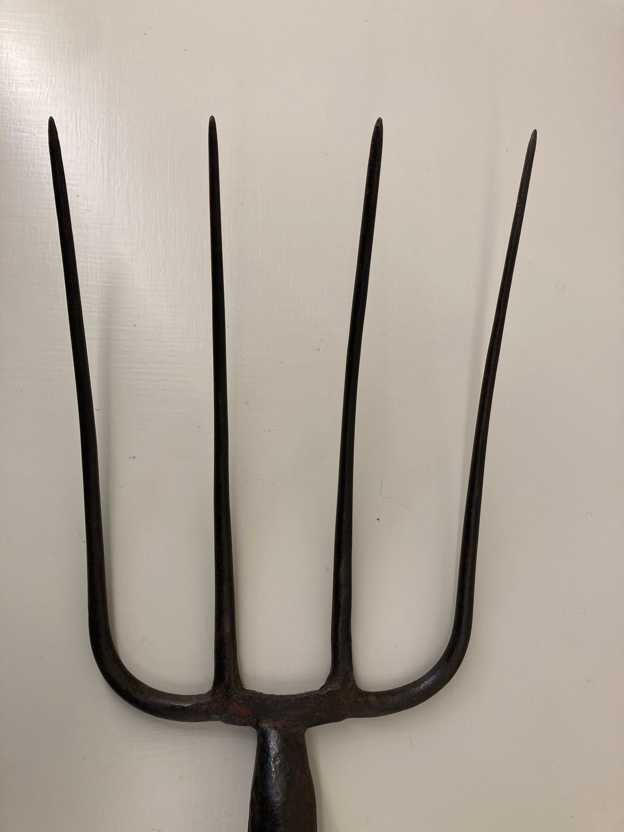 Skinner &amp; Johnson Dung Fork