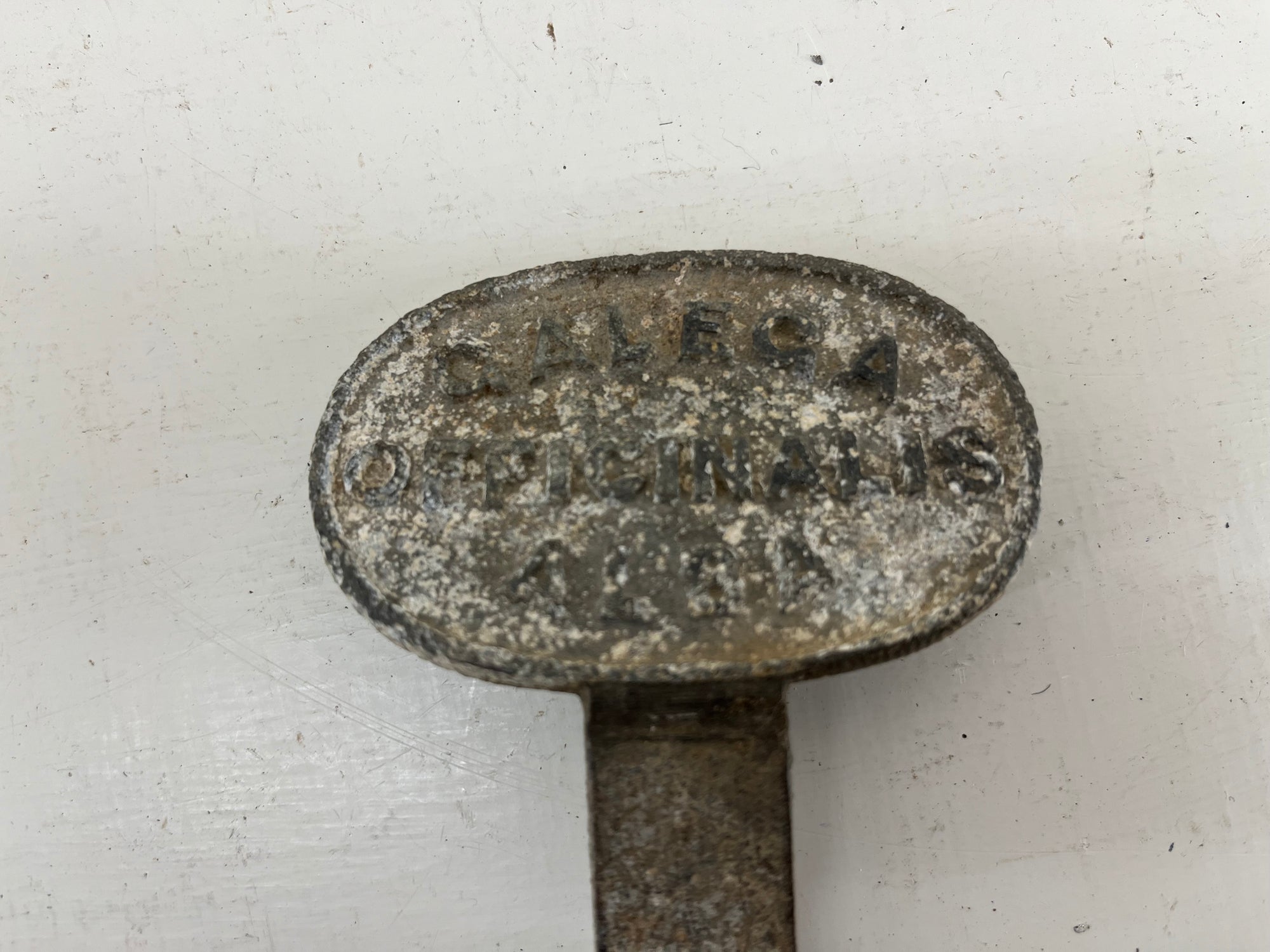 Vintage Plant Label