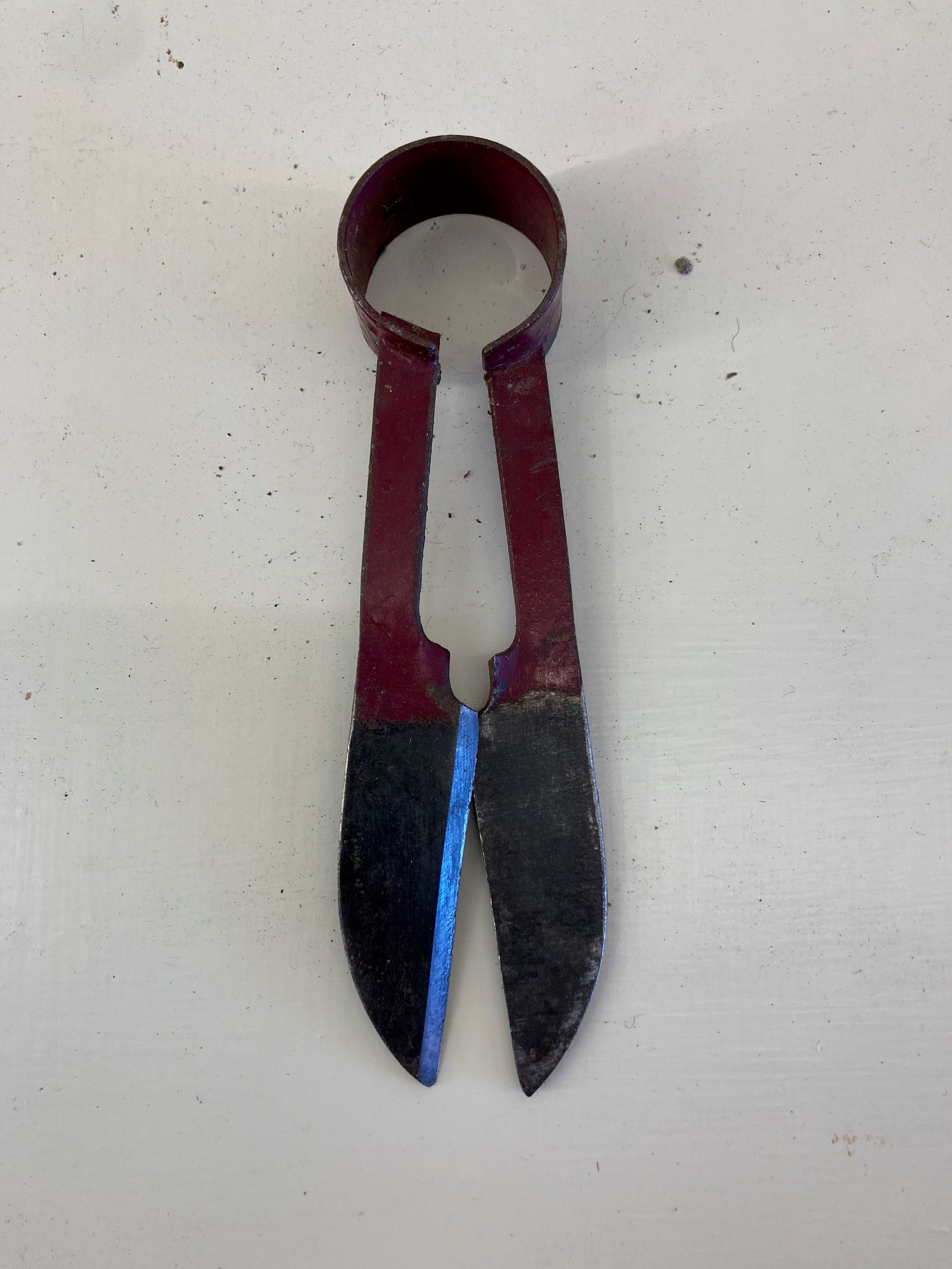 Tiny Pair of Topiary Shears