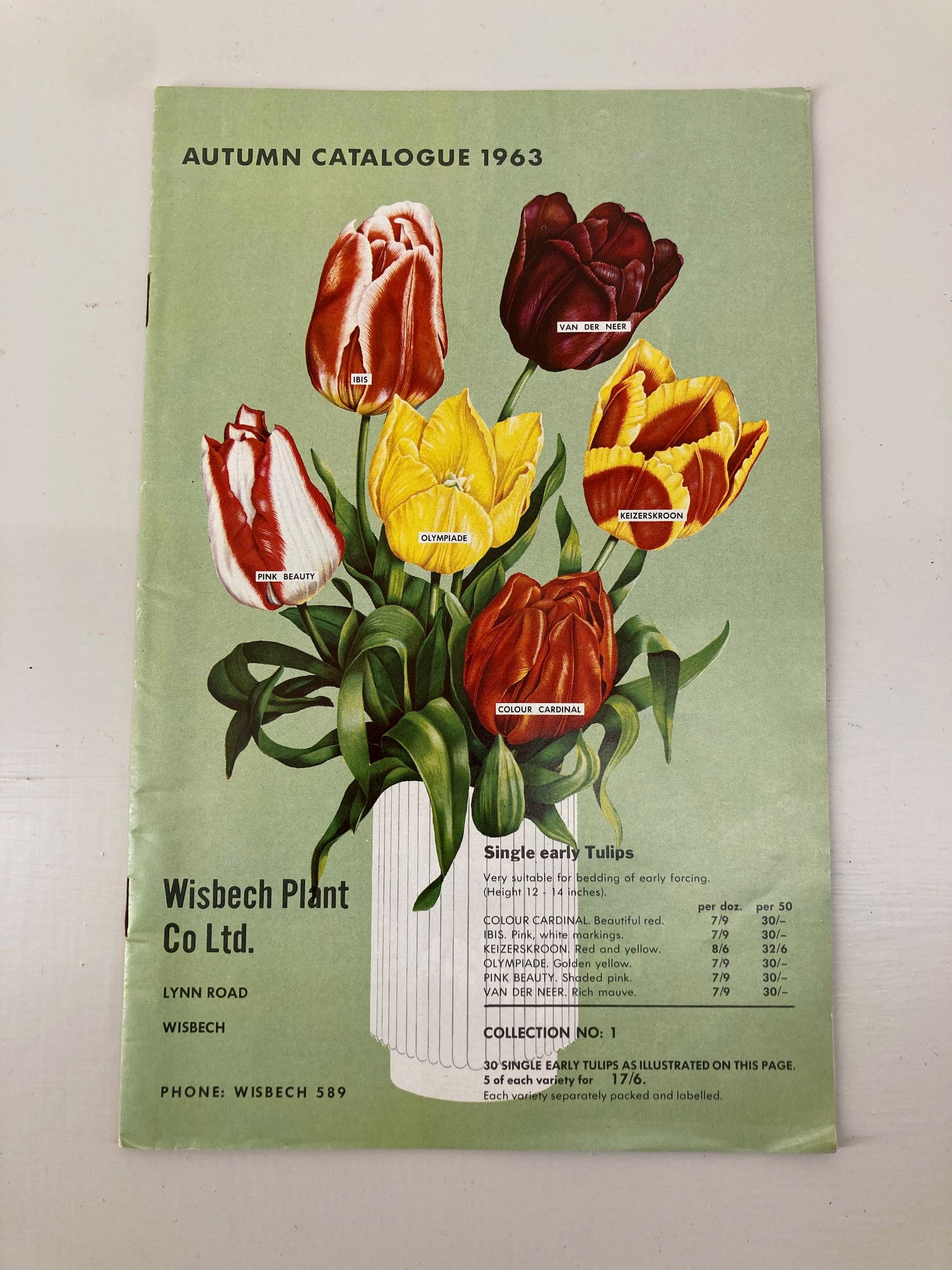 Wisbech Plant Co Catalogue 1963