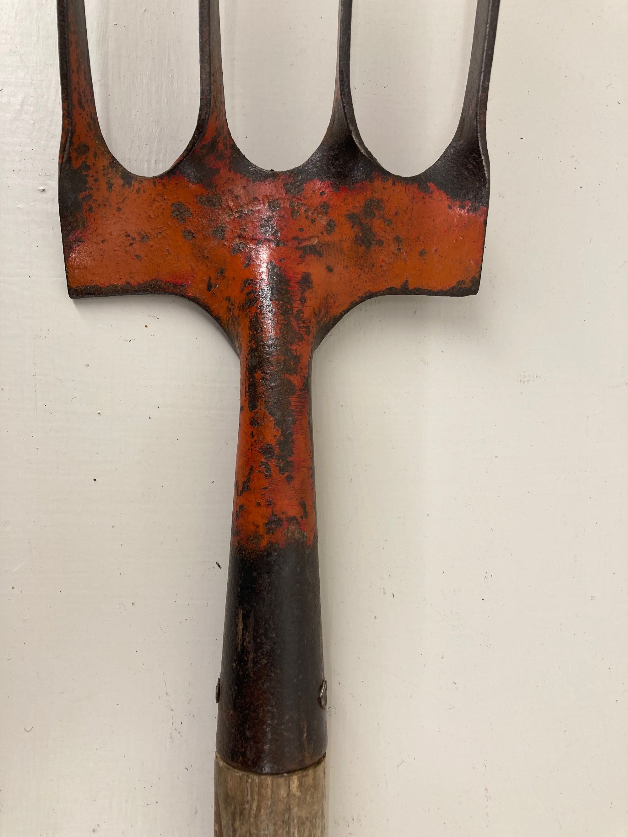 Skelton Border Fork