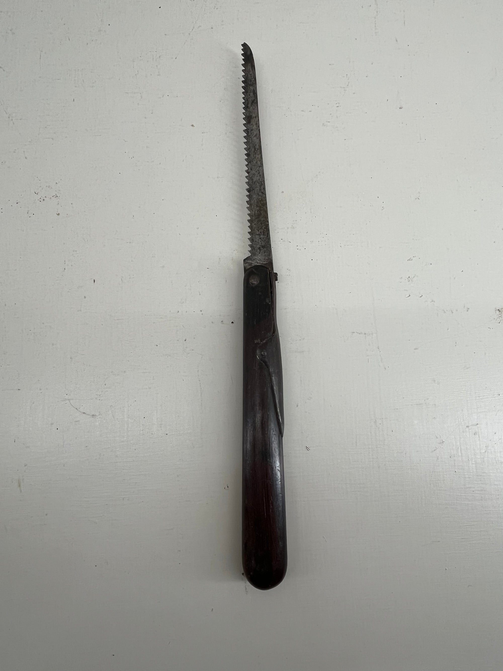 Folding Pruning Saw