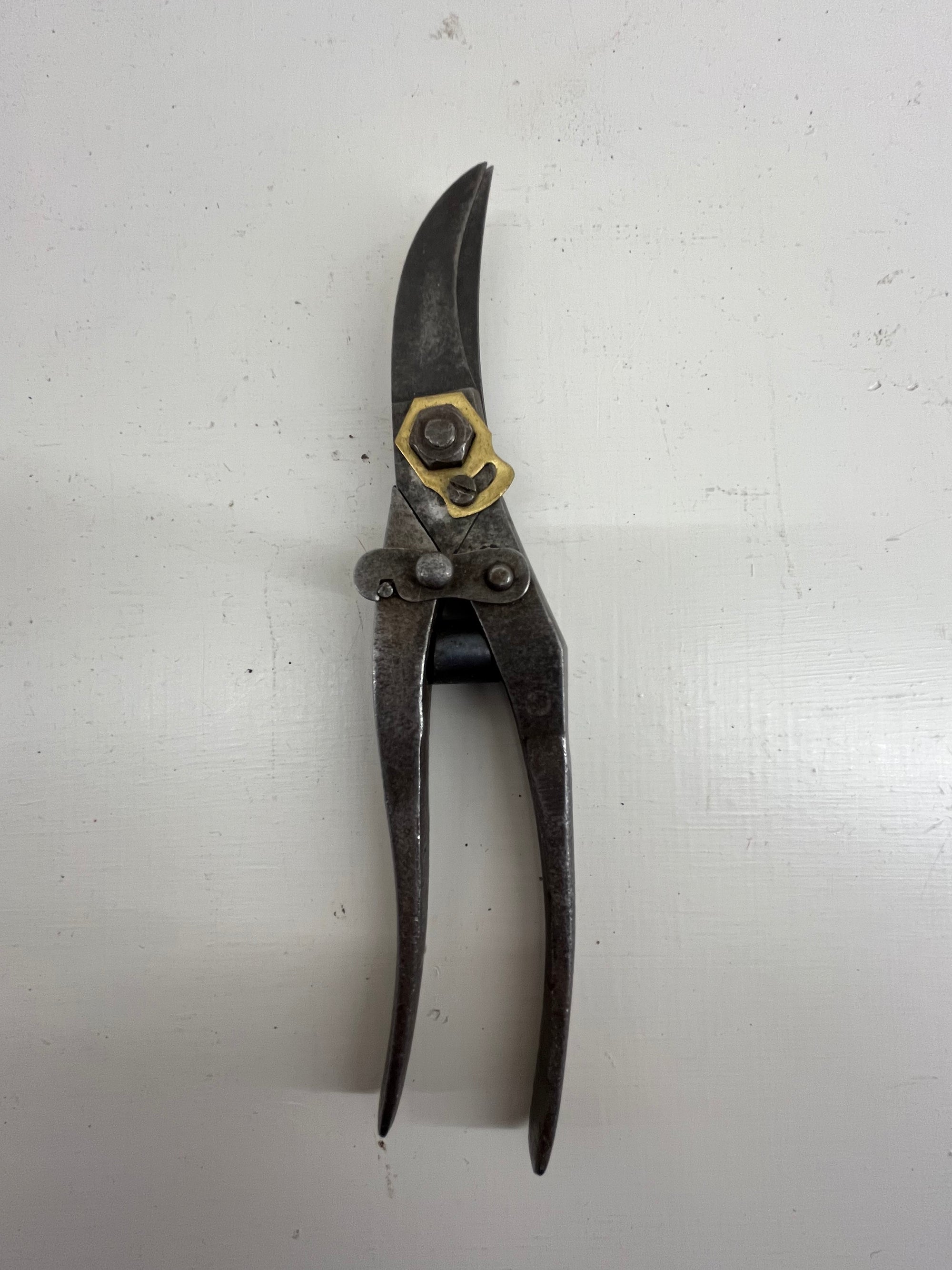 Vintage Secateurs