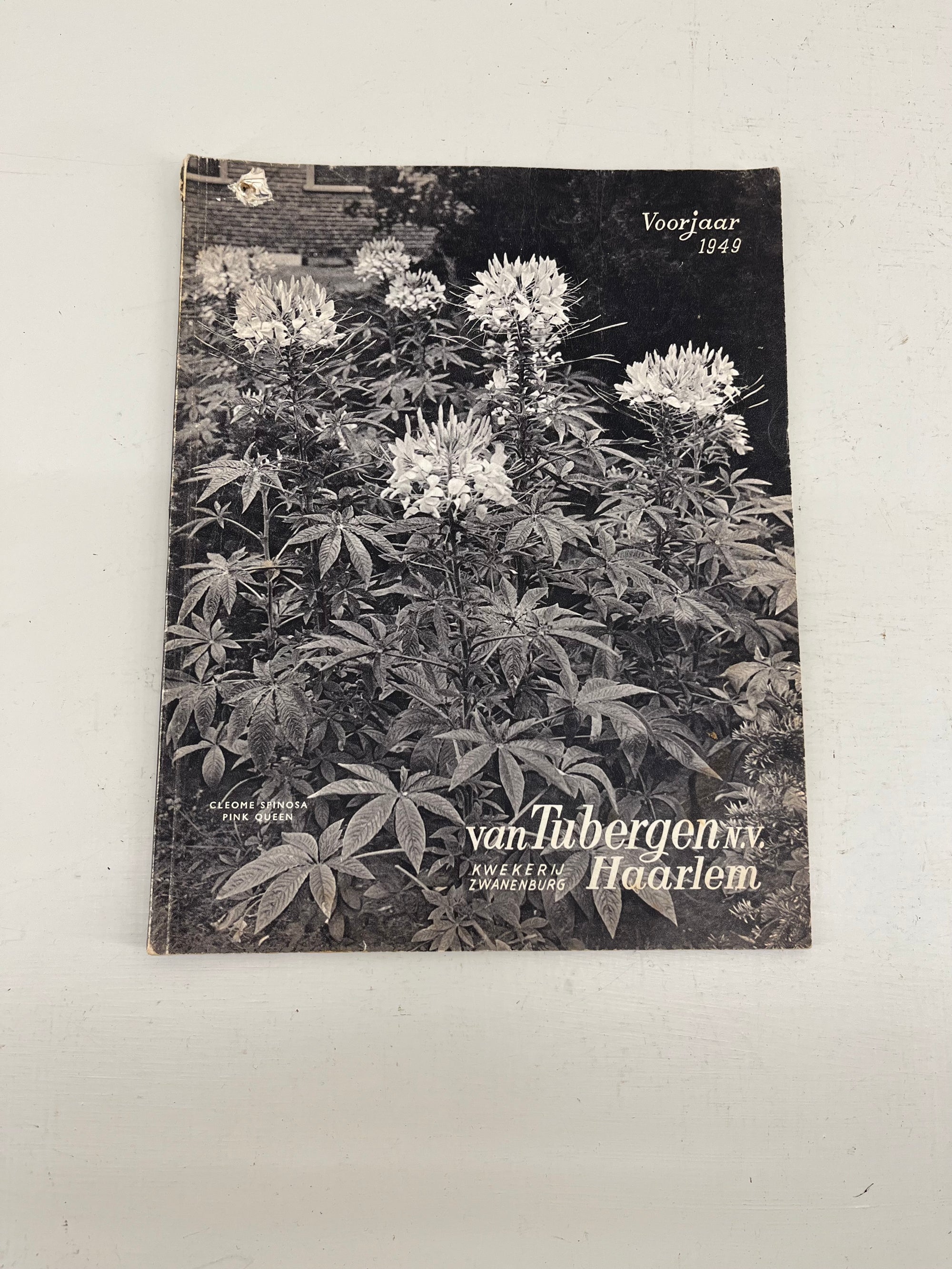 Van Tubergen Bulb Catalogue, 1949