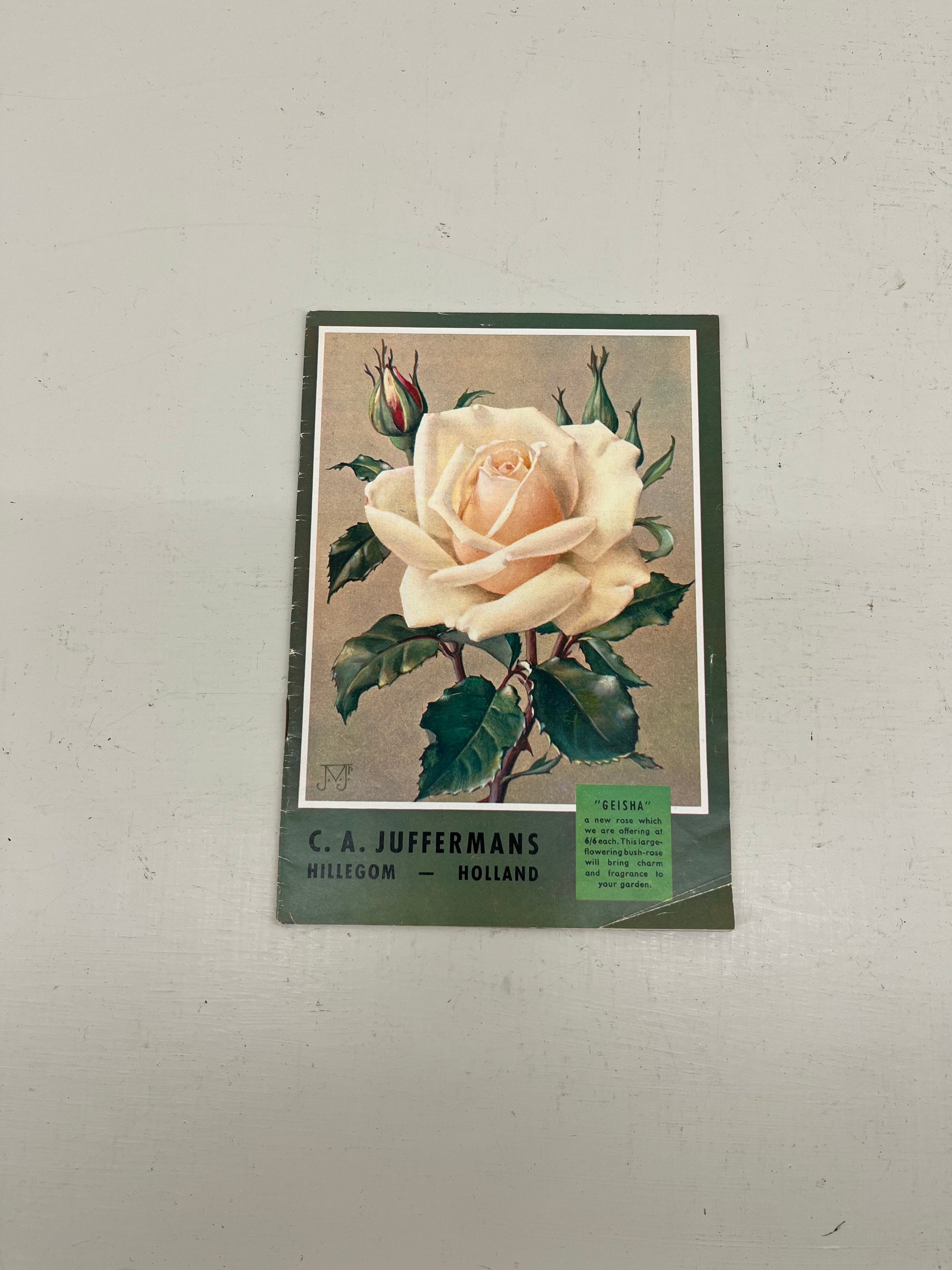 Juffermans Bulb Catalogue