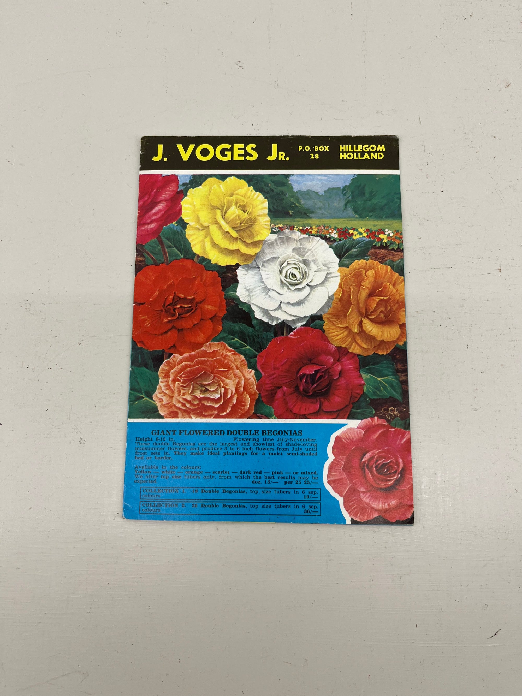 V Voges Bulb Catalogue,