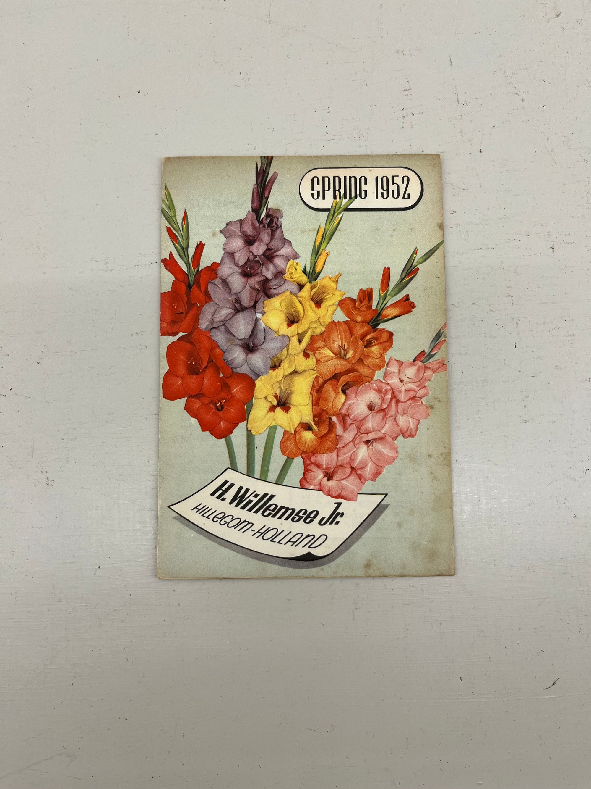 H Willemse Jr Bulb Catalogue, 1952