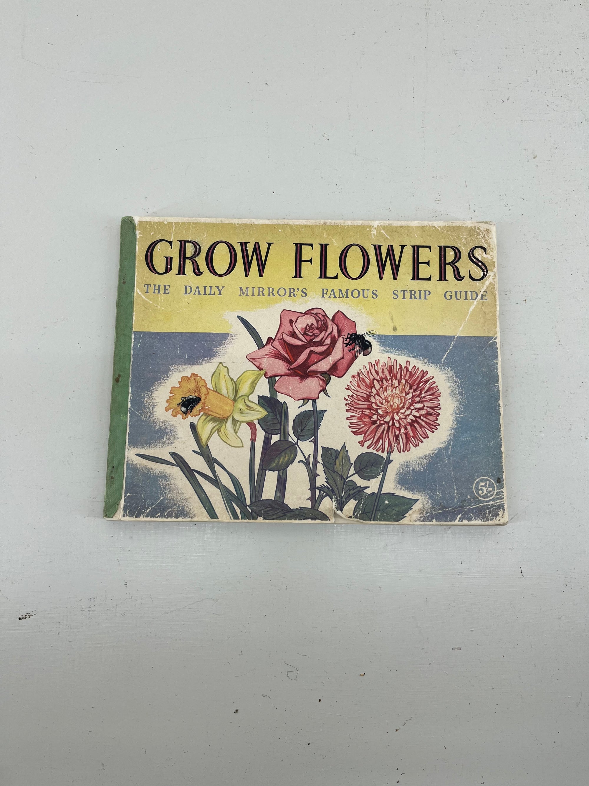 Daily Mirror's Grow Flowers