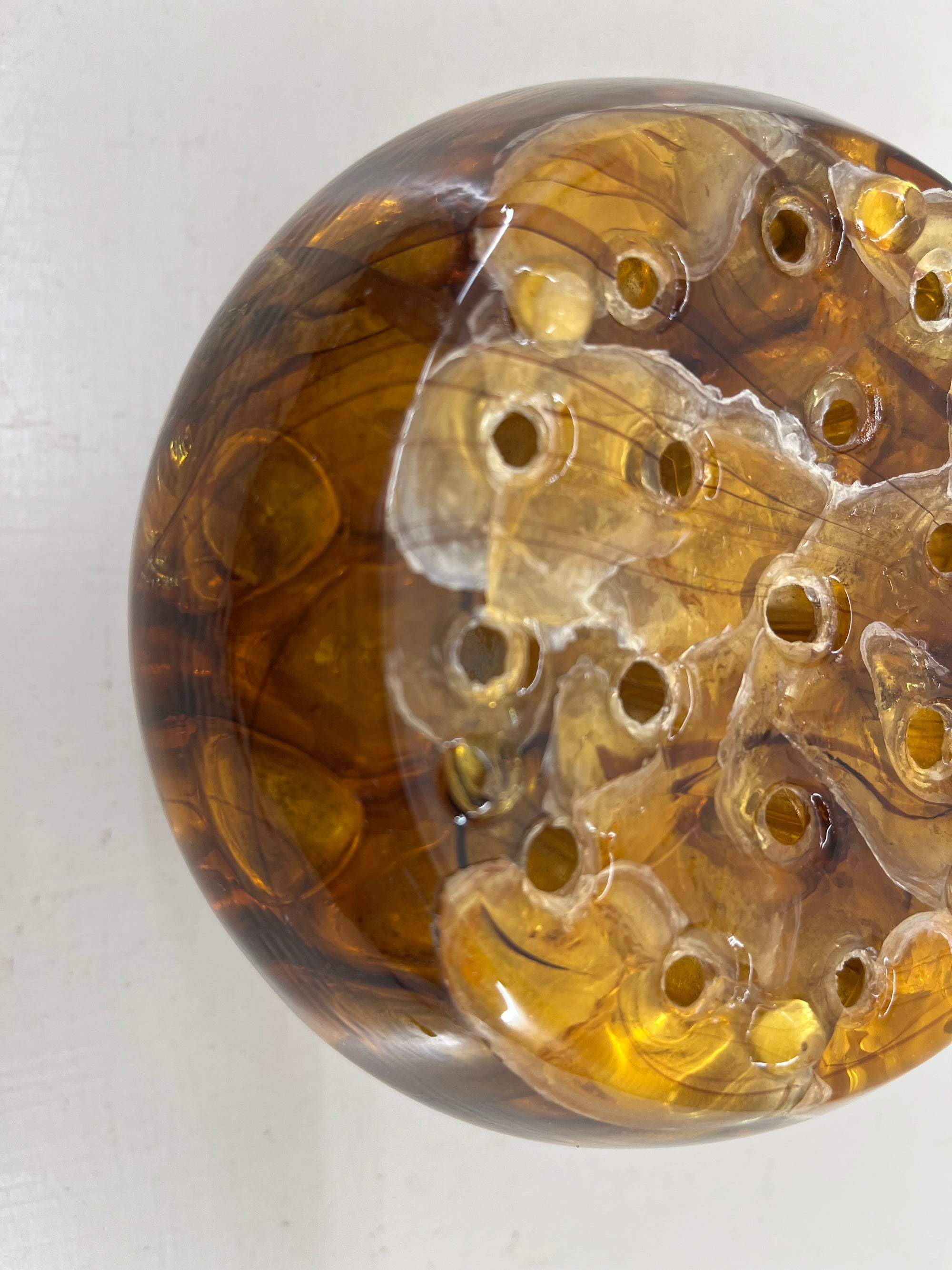 Amber Flower Frog
