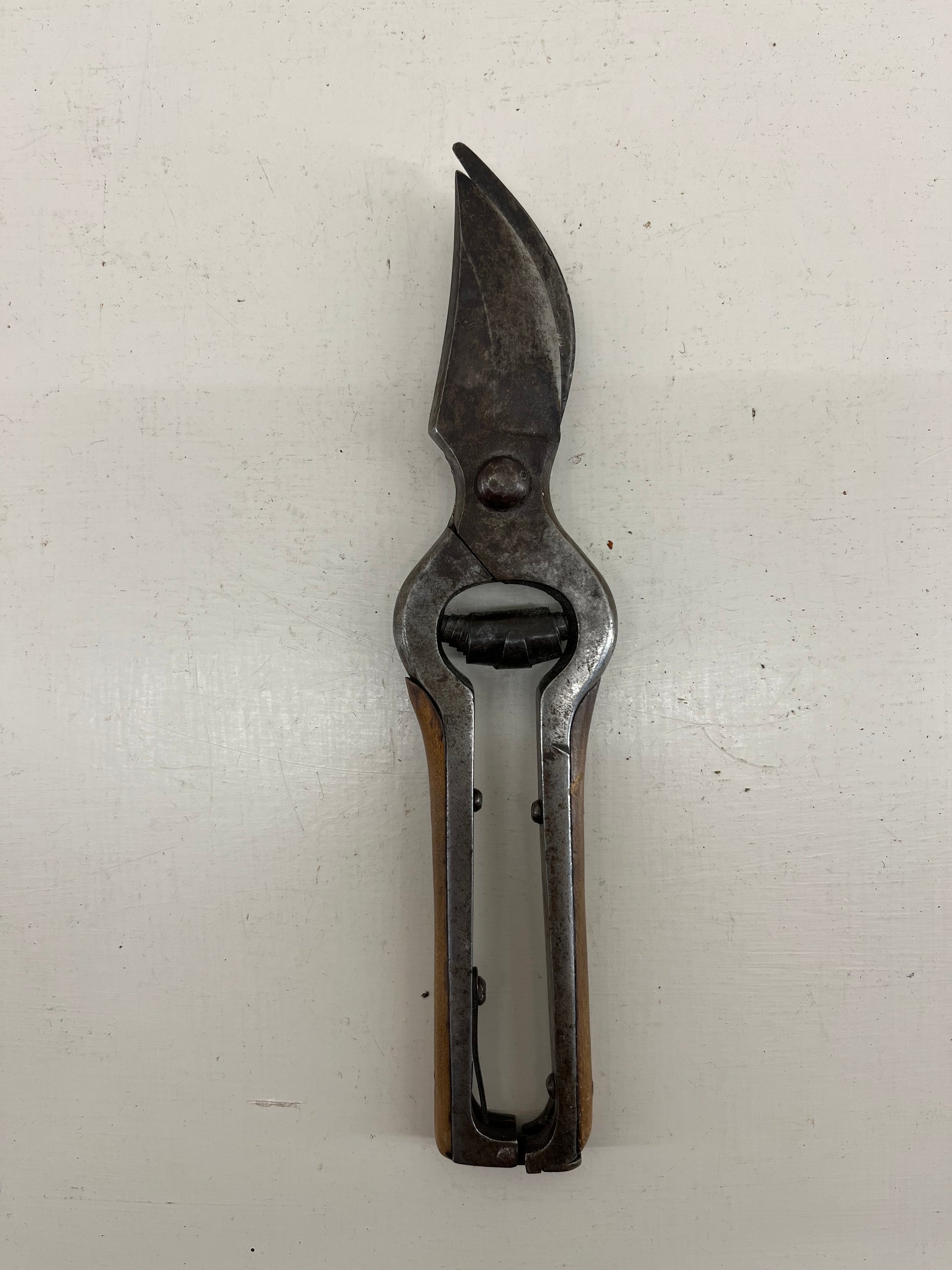 Vintage French Secateurs