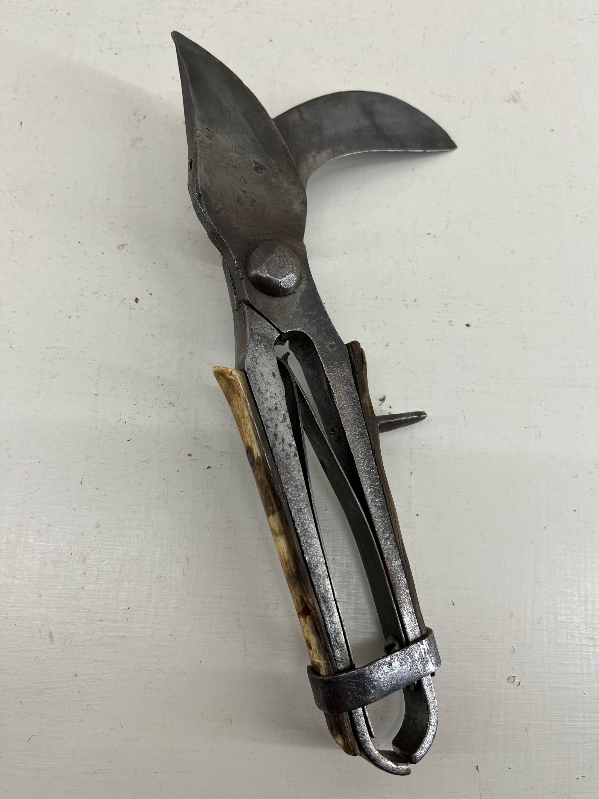 French Vine Secateurs