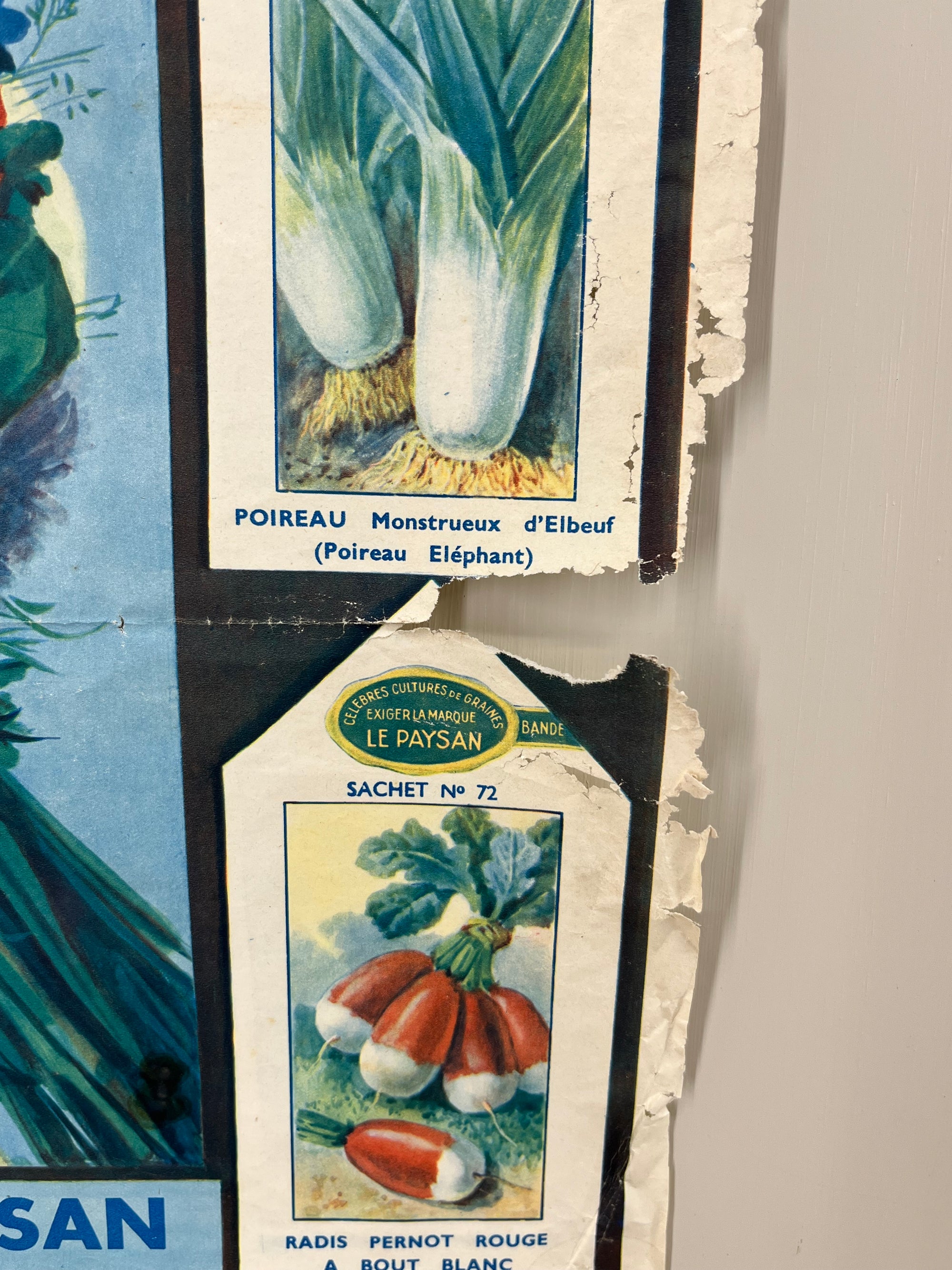 Le Paysan Seed Poster