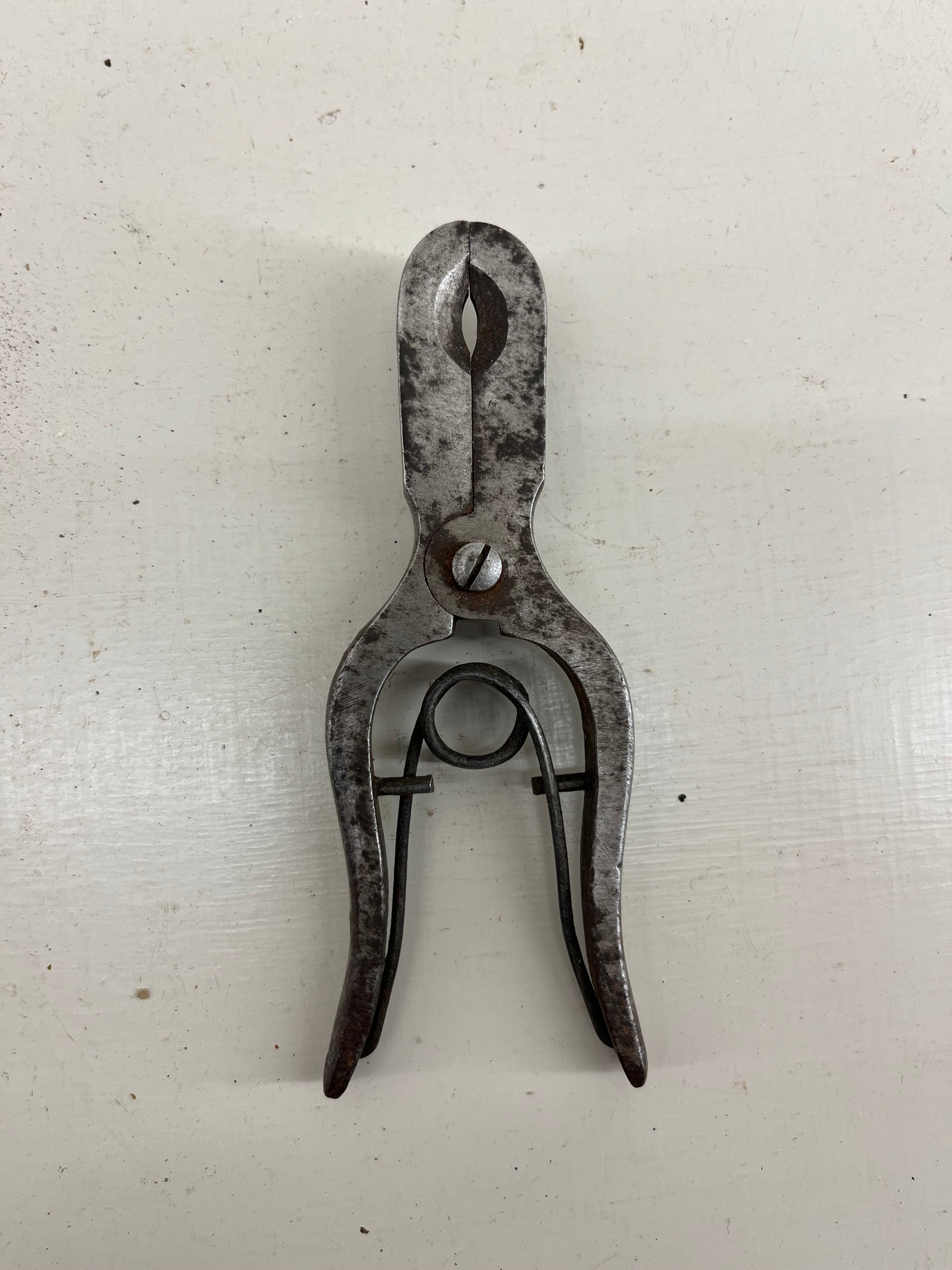 Vintage Girdling Tool
