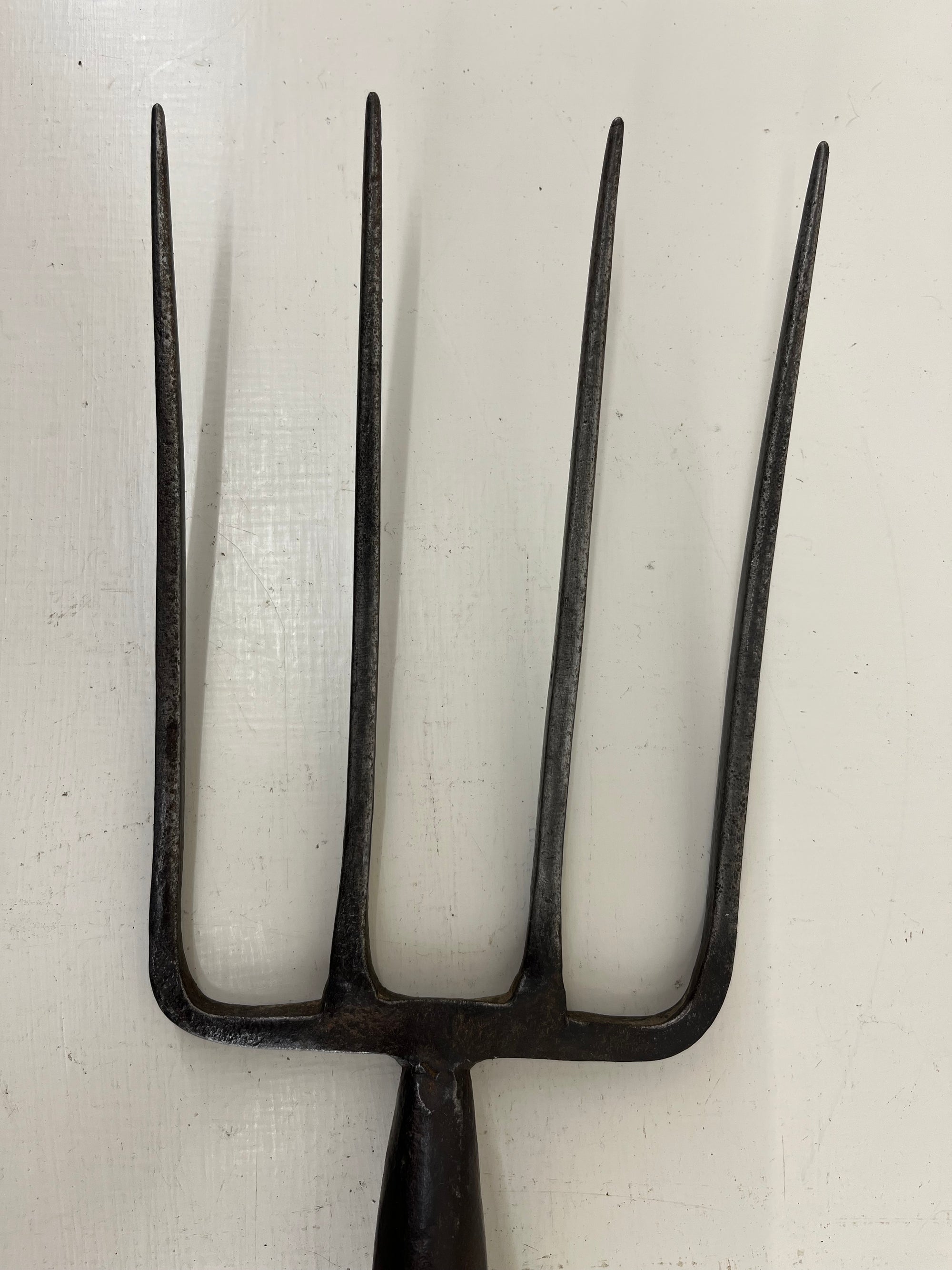 Brades Border Fork