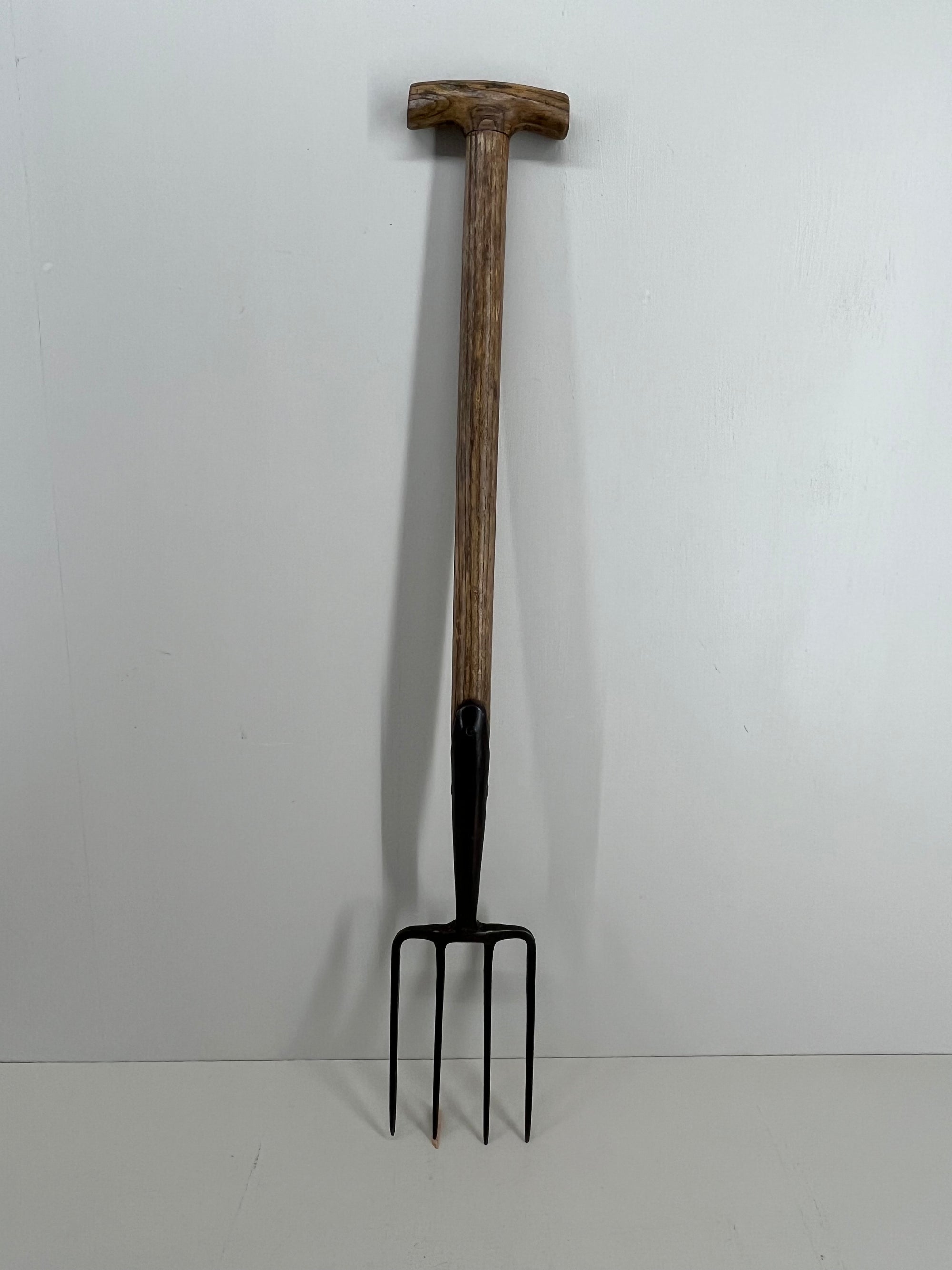 Elwell Border Fork