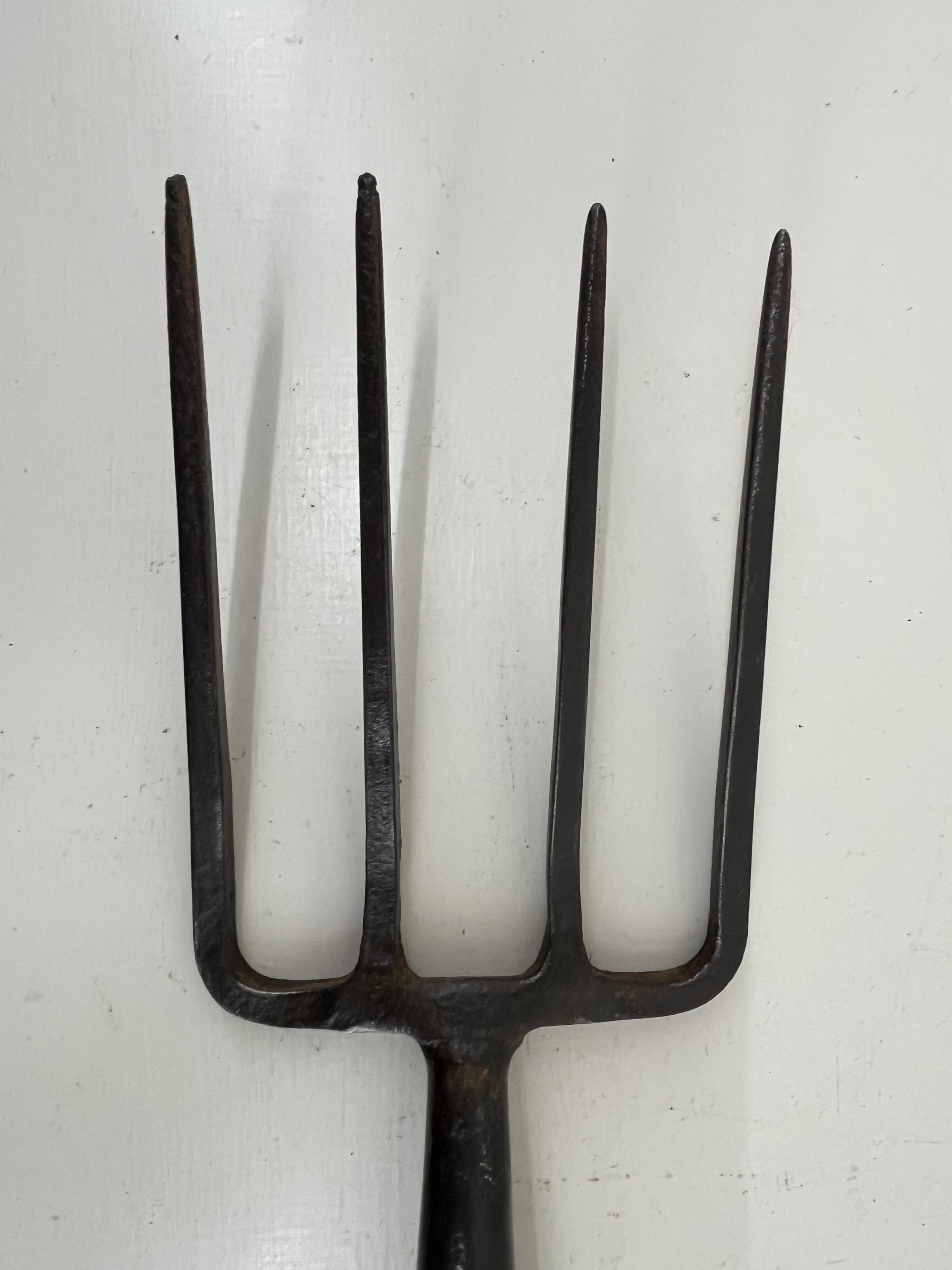 Elwell Border Fork