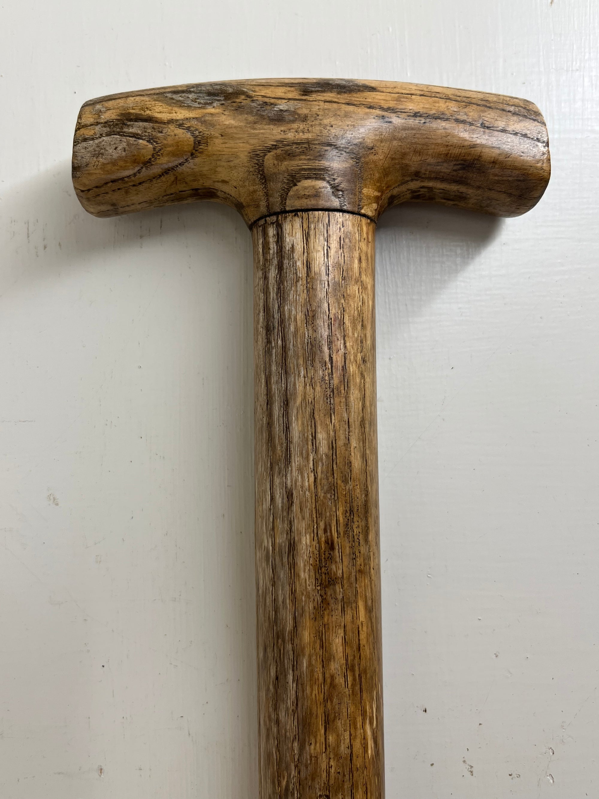 Elwell Border Fork