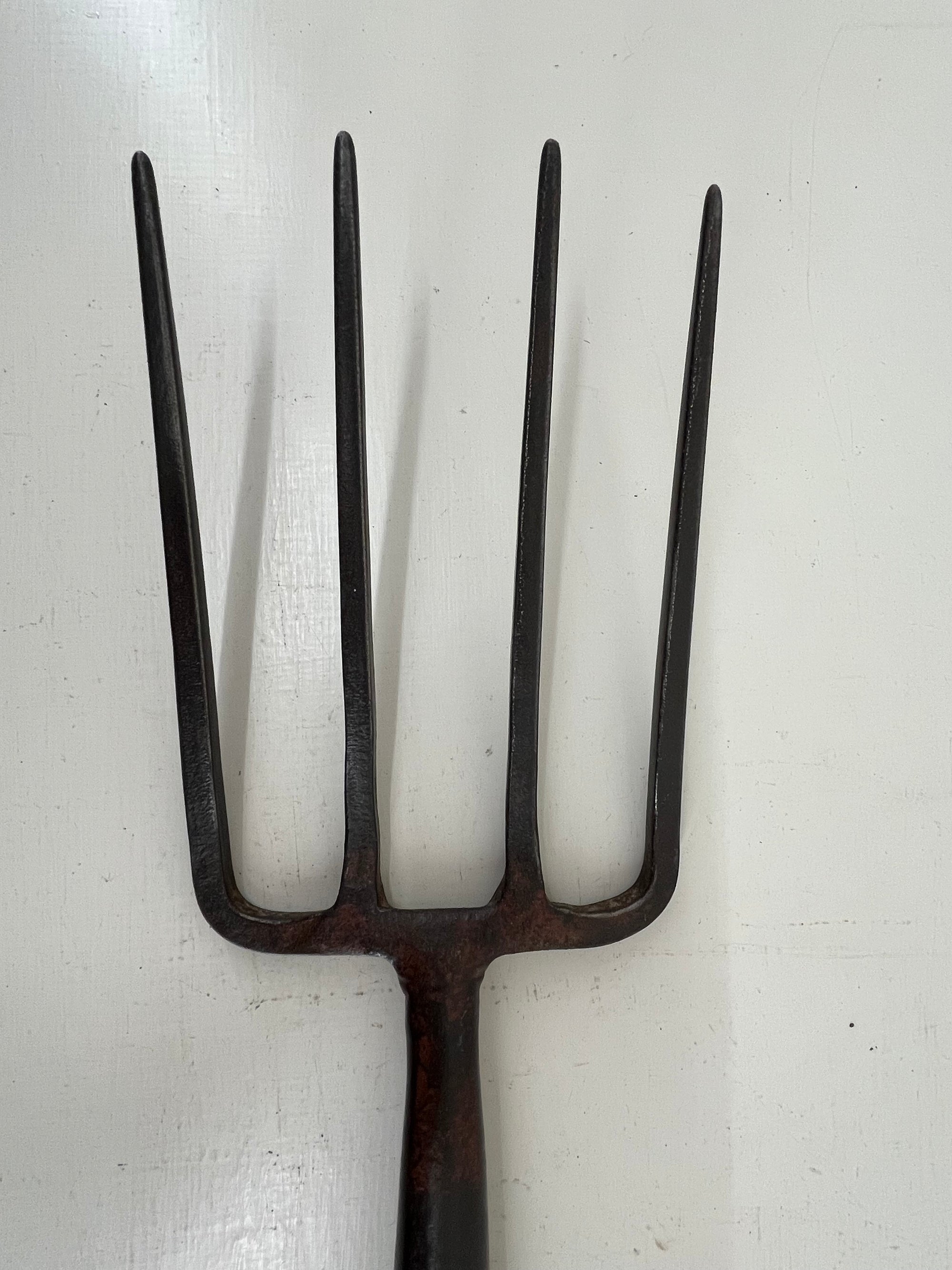 Elwell Border Fork