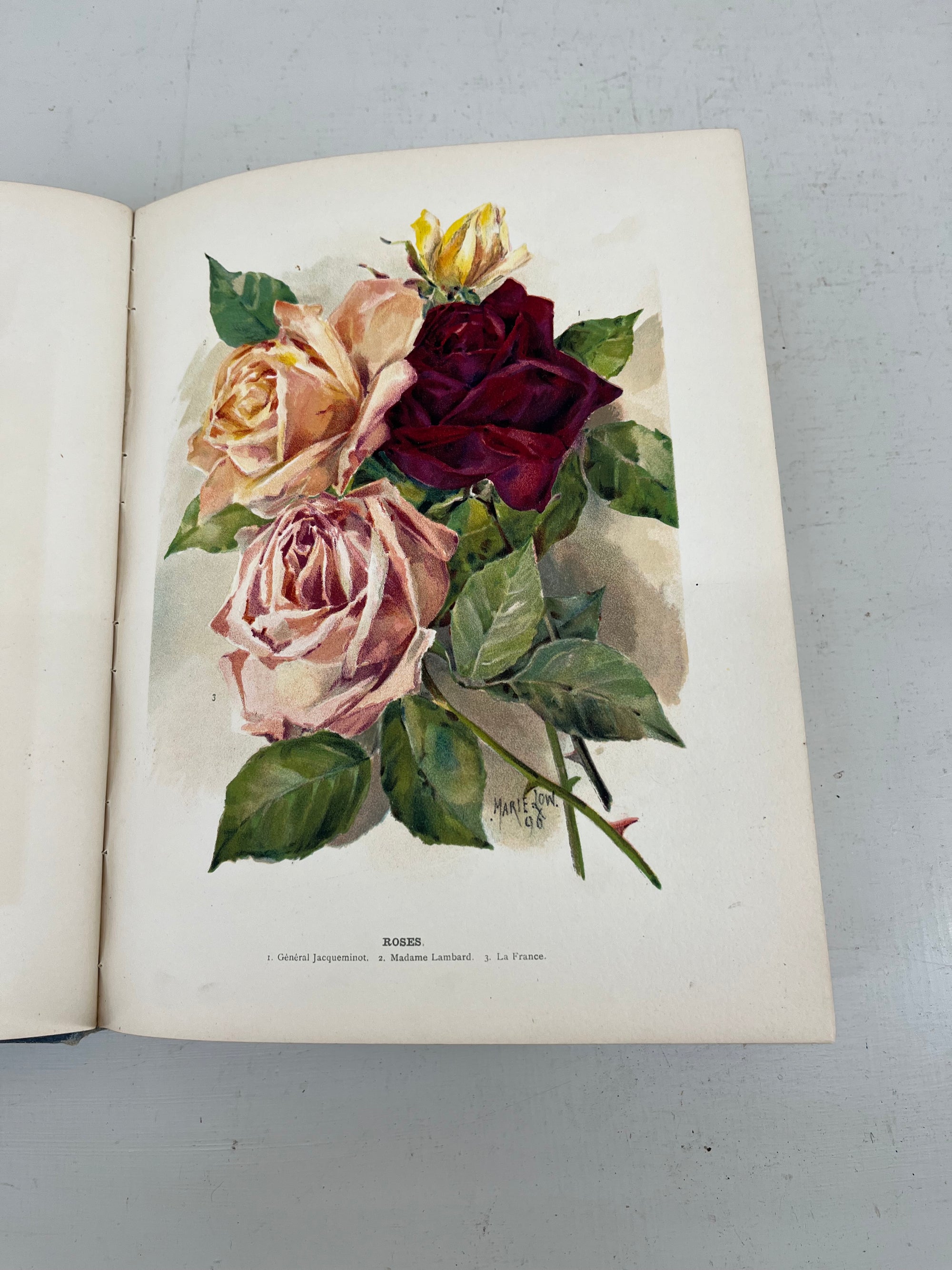 The Flower Growers Guide