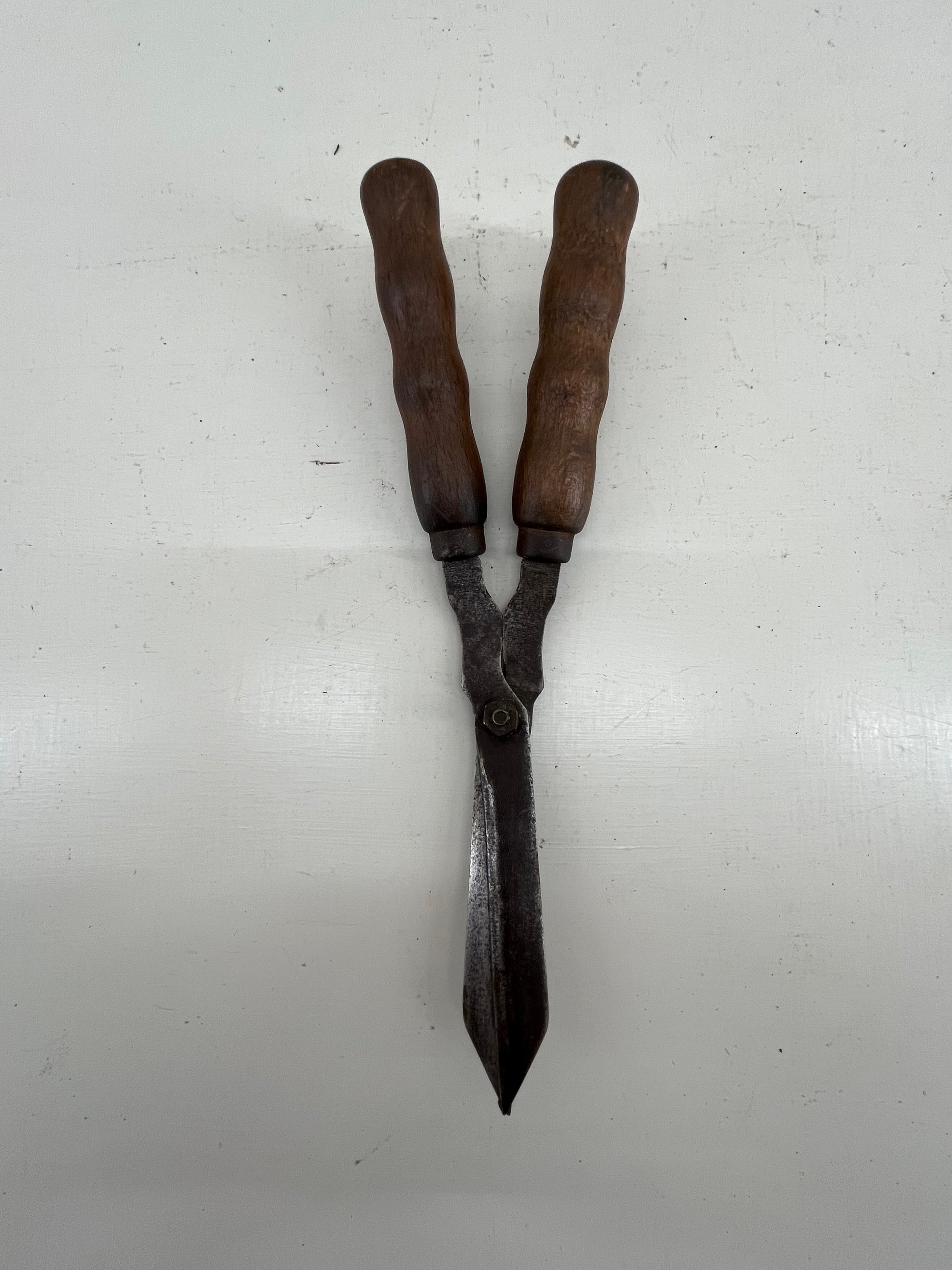 Children's Garden Shears