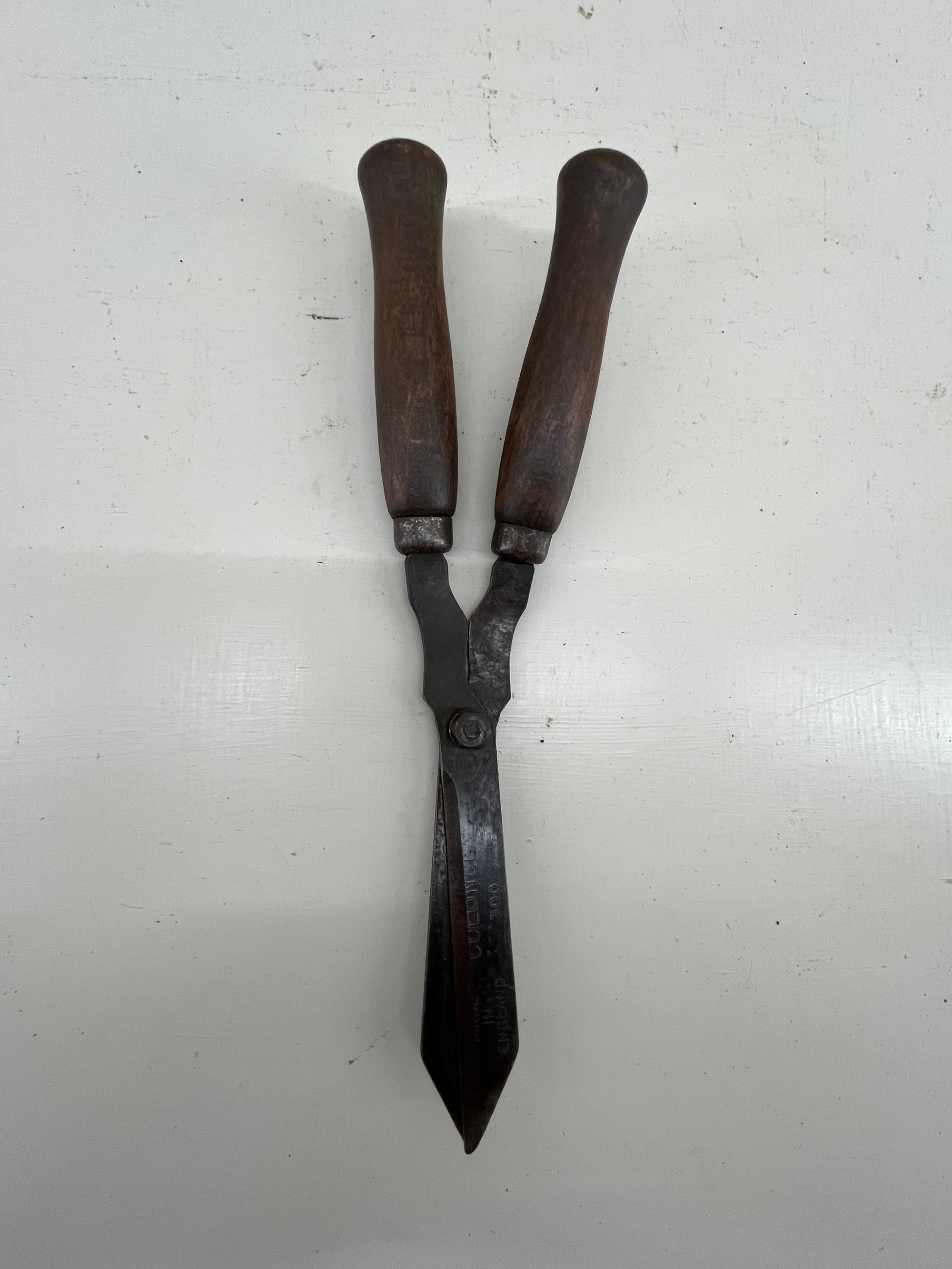 The Colonel Children's Shears