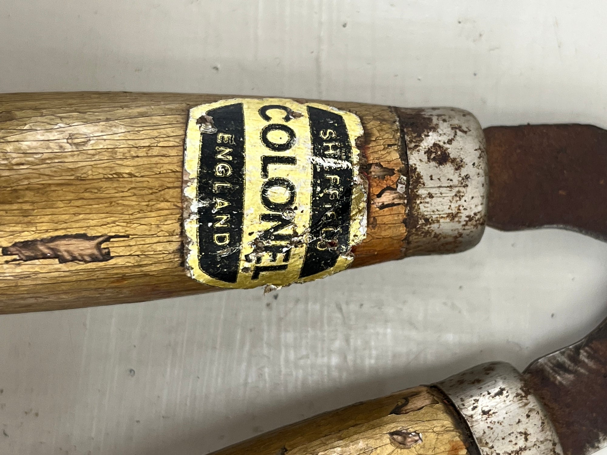 The Colonel Children's Shears