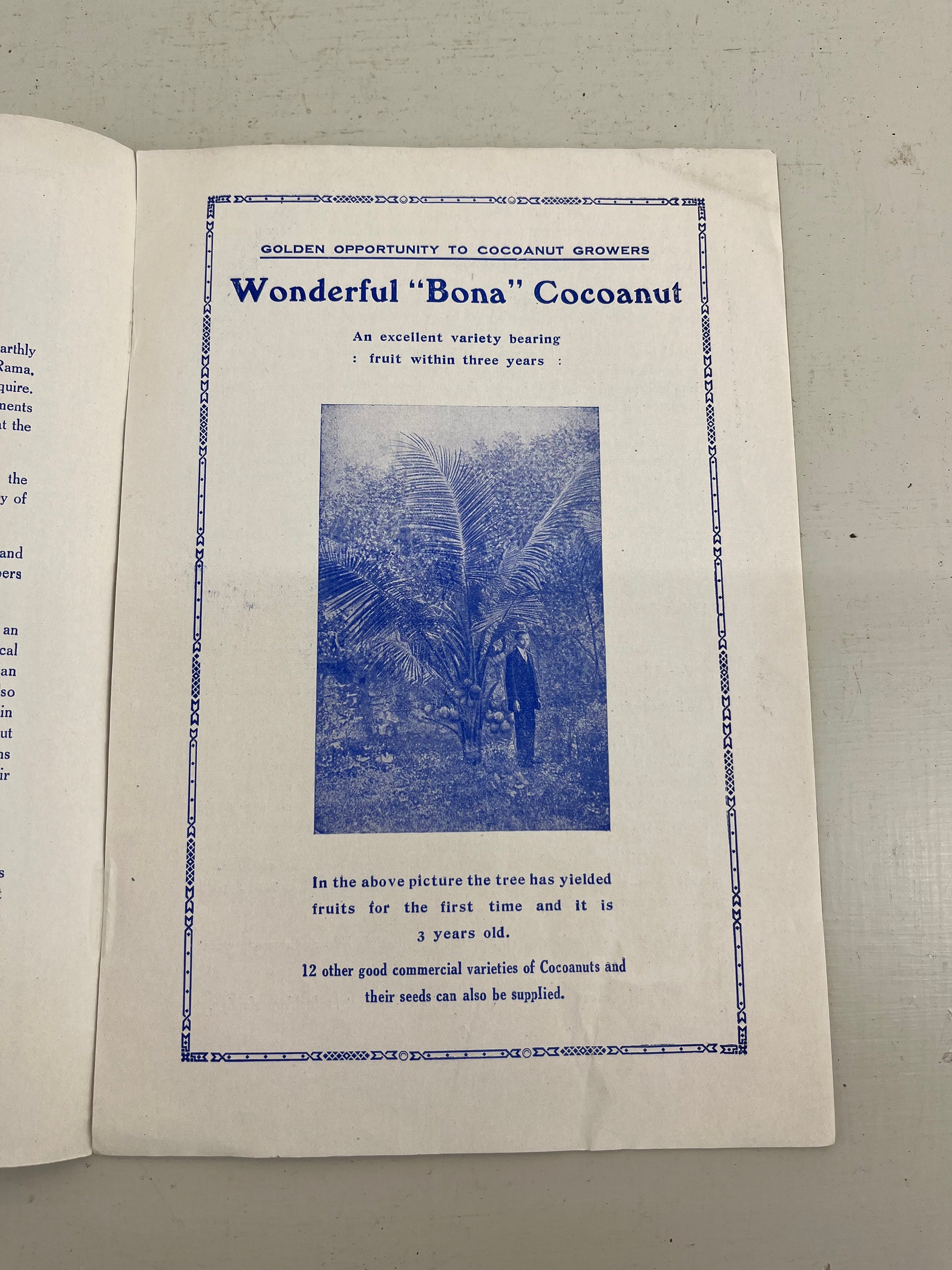 Bandsa State Nursery Catalogue, 1929 - 30
