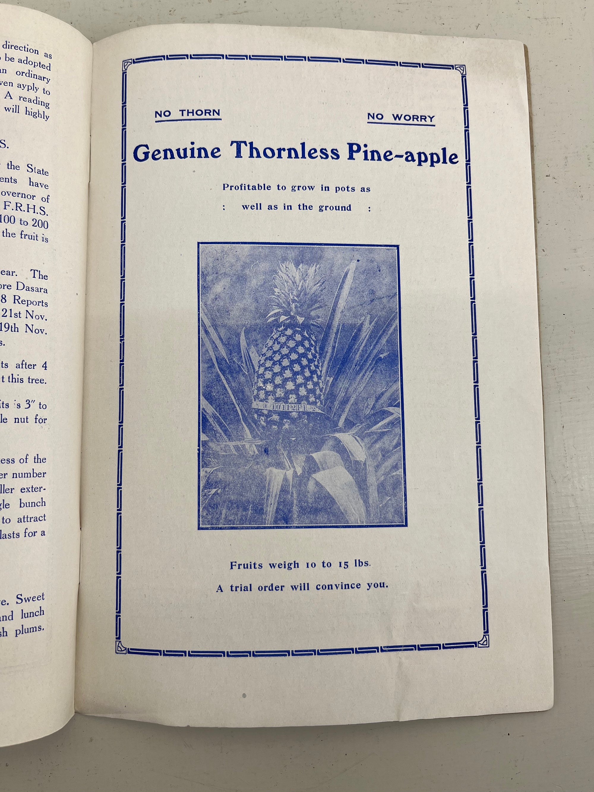 Bandsa State Nursery Catalogue, 1929 - 30