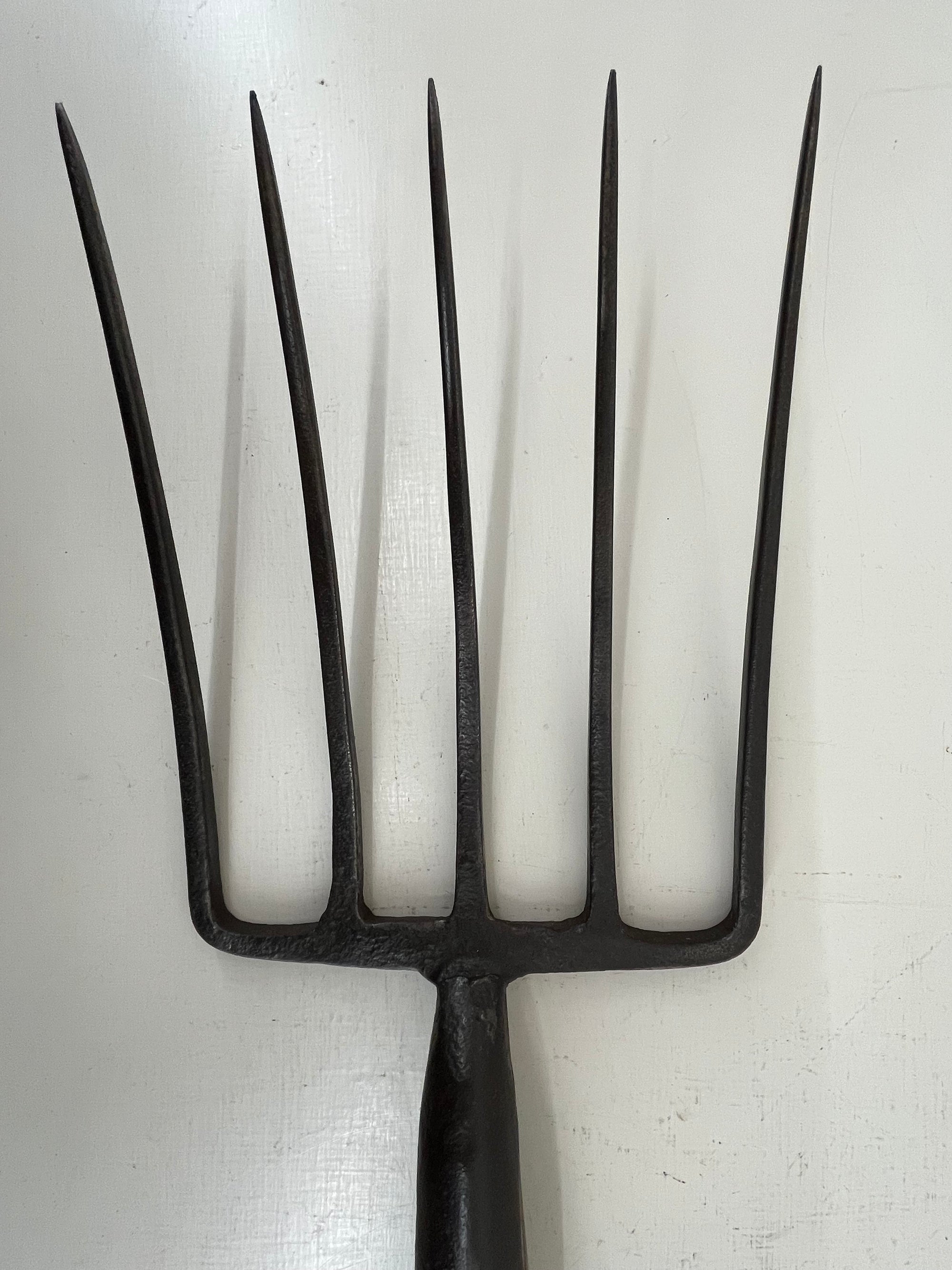 Five Tined Fork