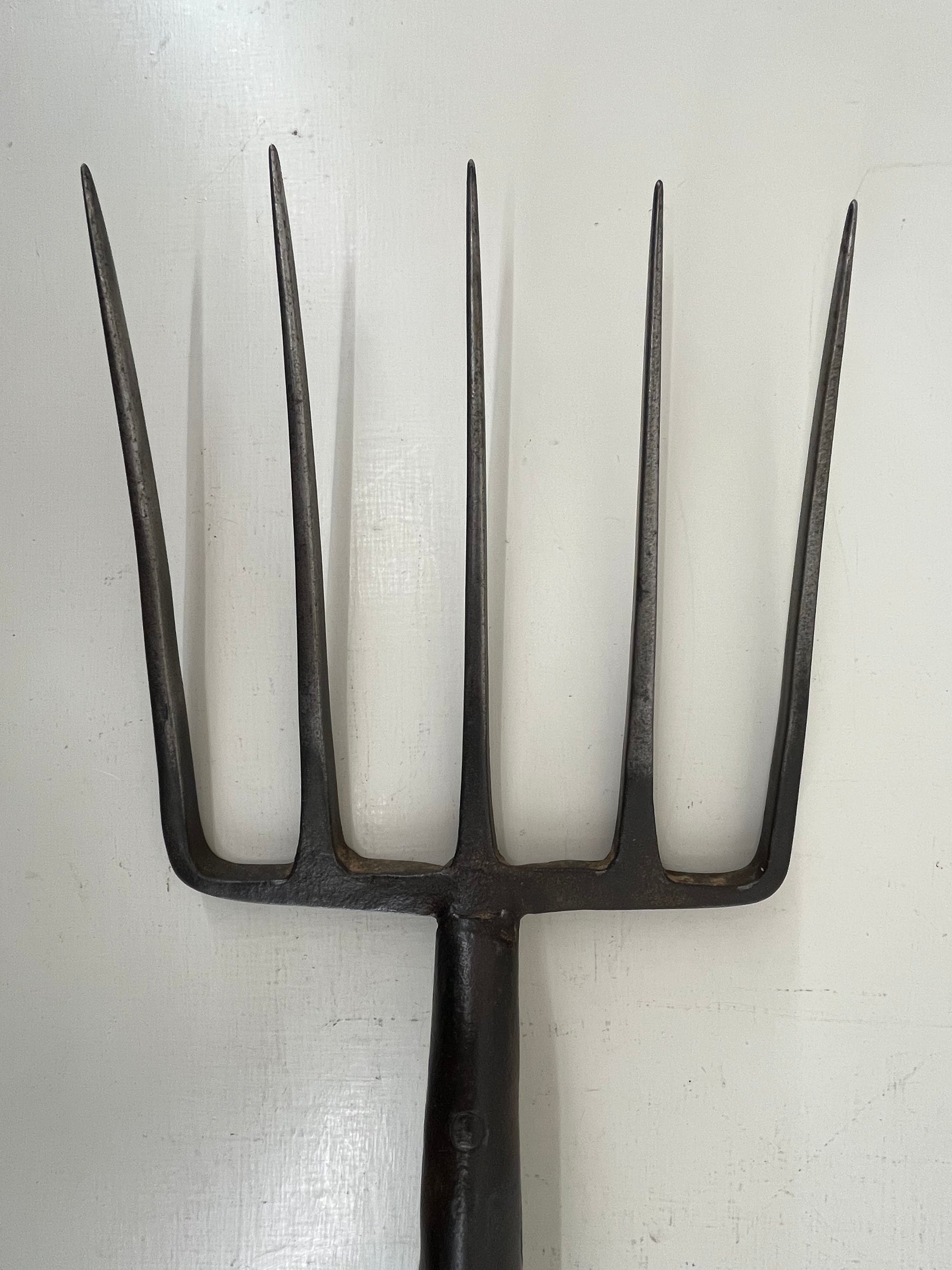 Five Tined Garden Fork