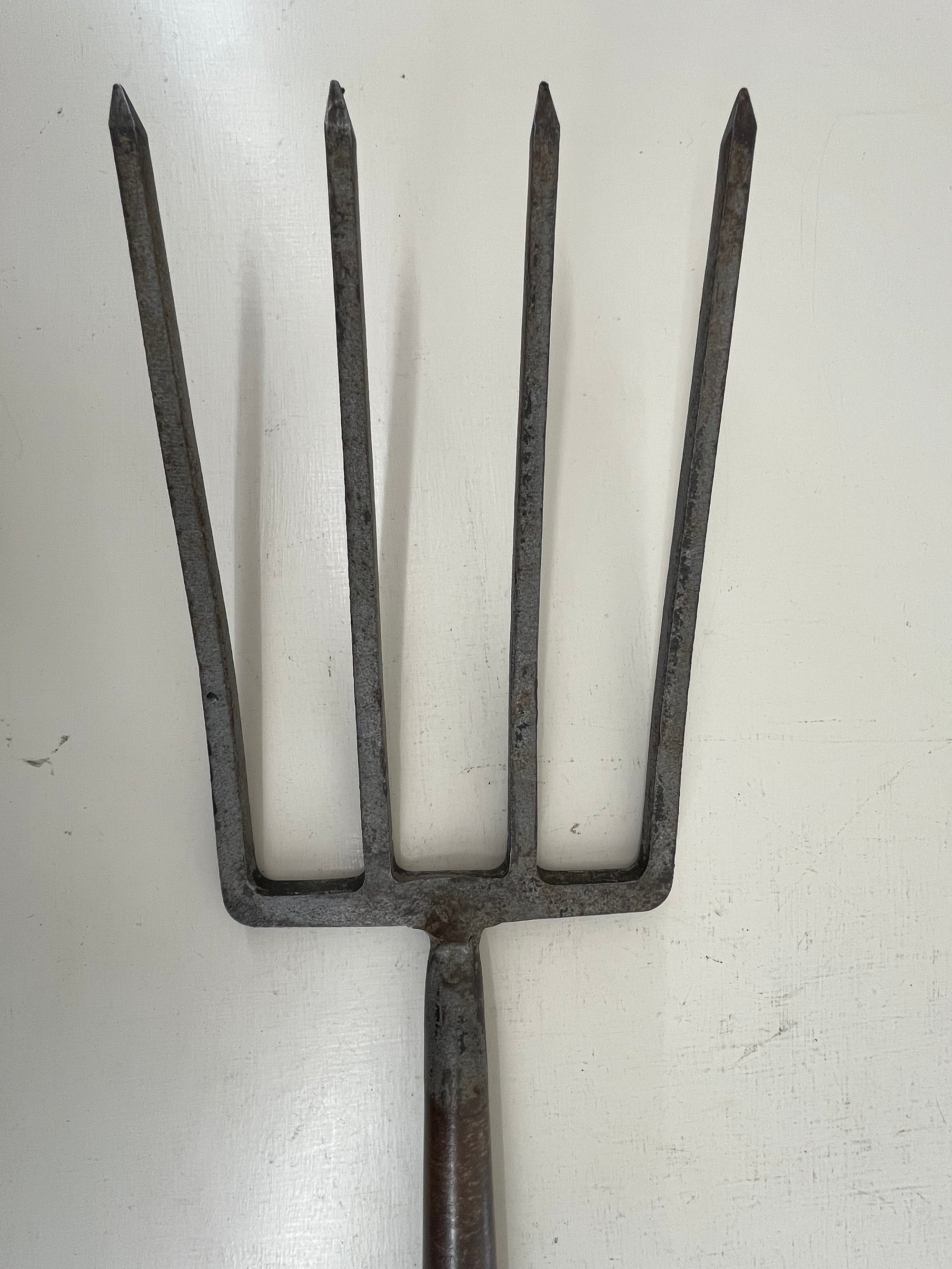Bulldog Garden Fork