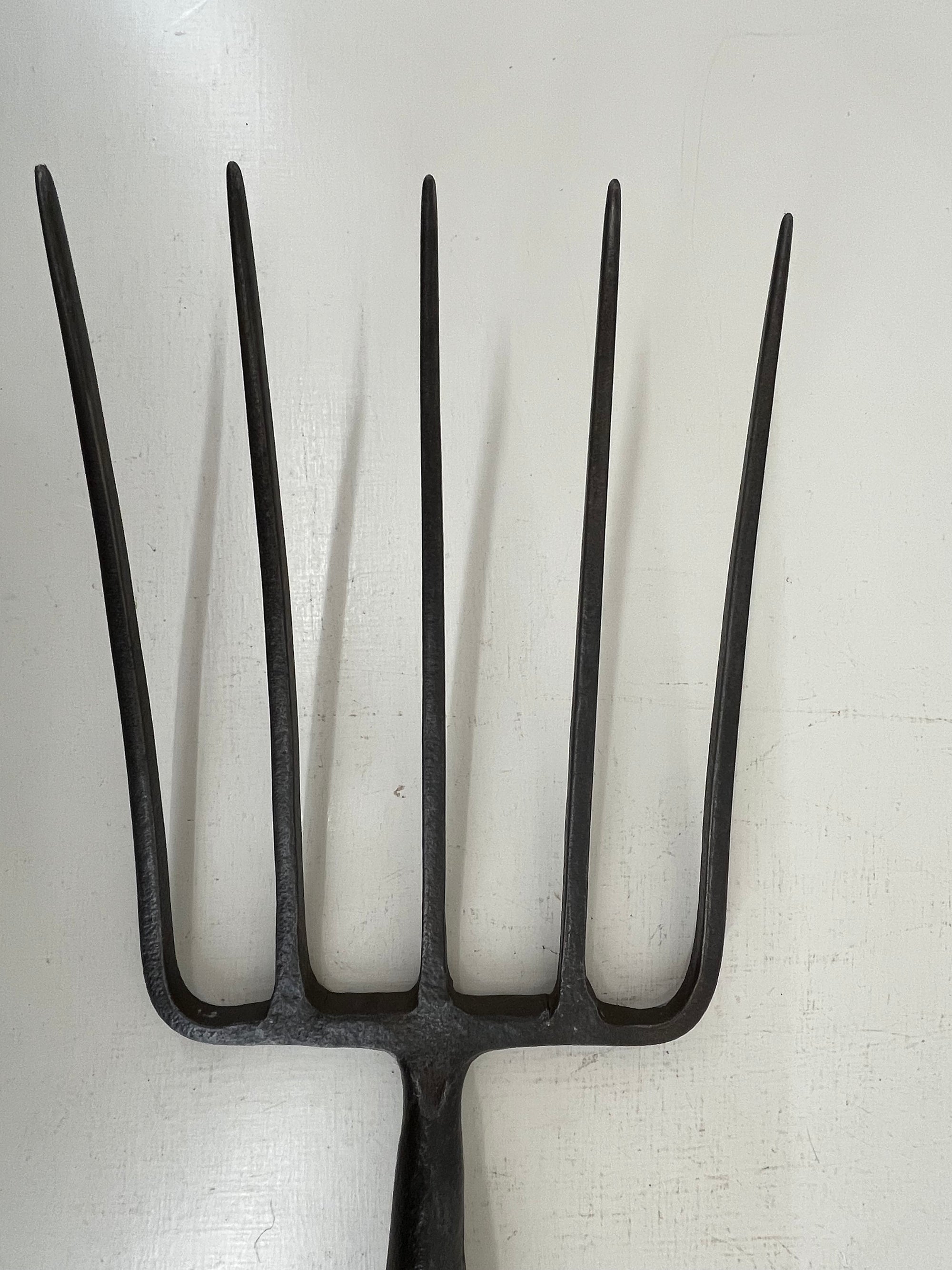 Bulldog Five Tined Fork