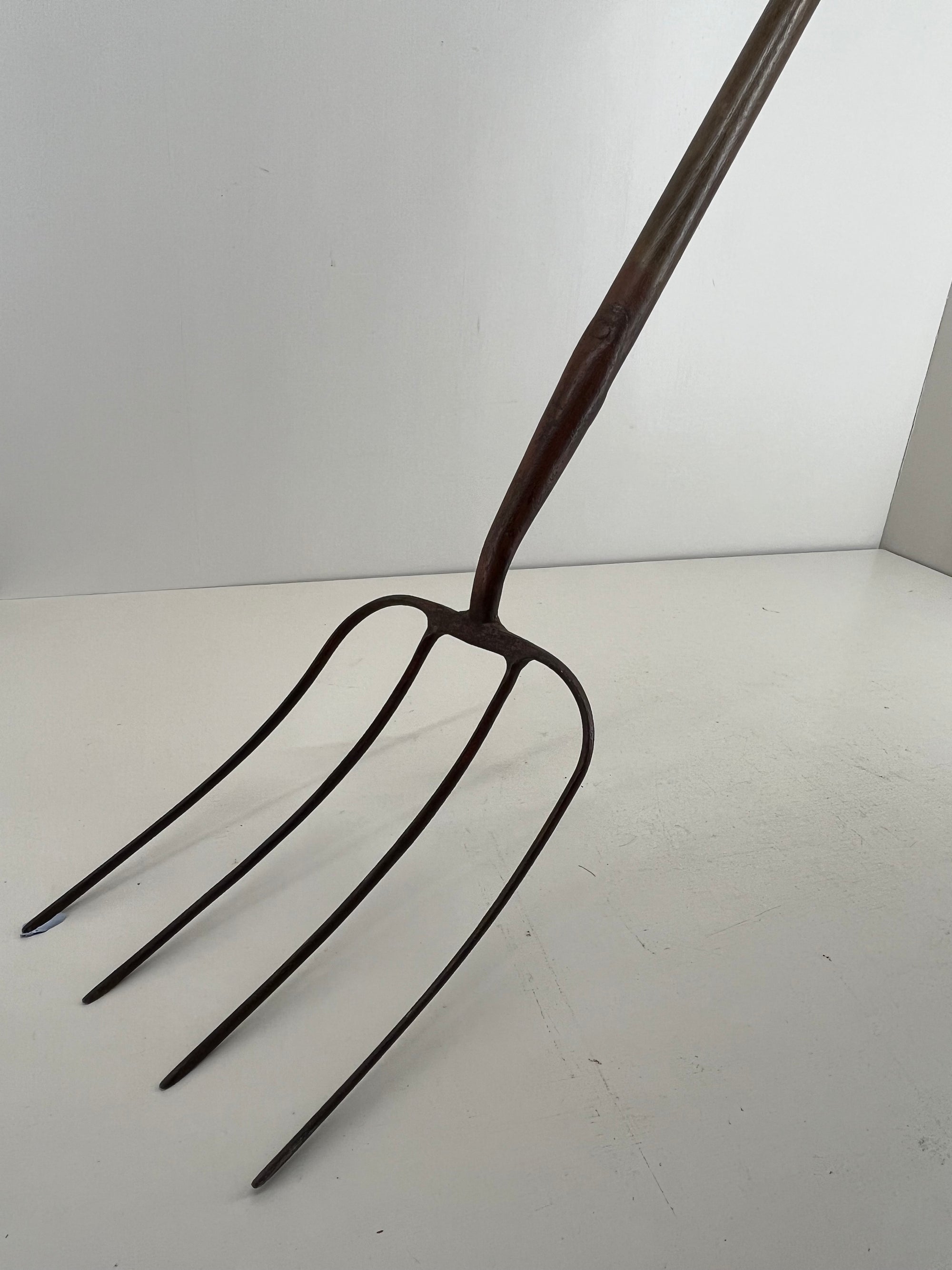 Very Long Dung Fork