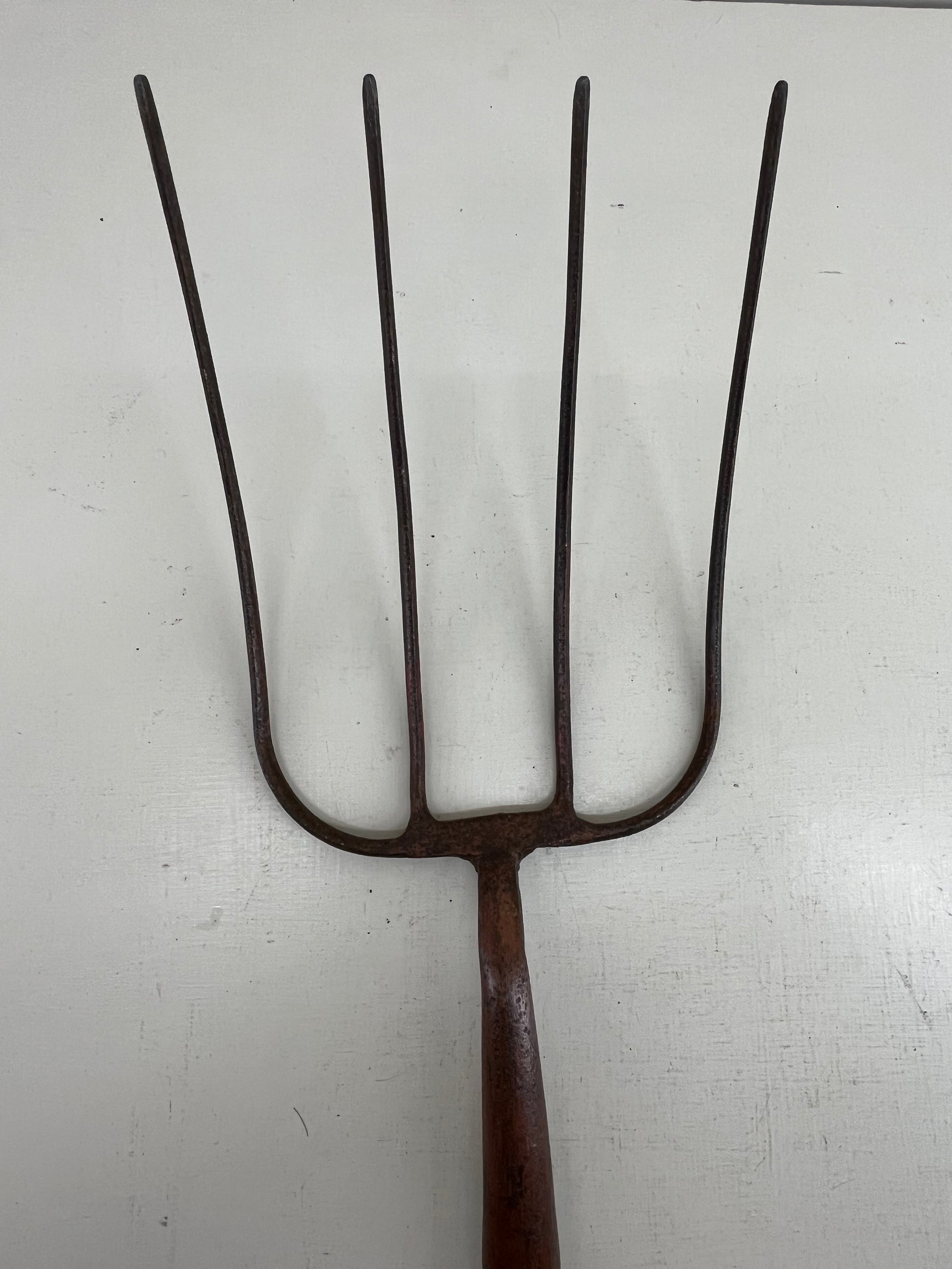 Very Long Dung Fork