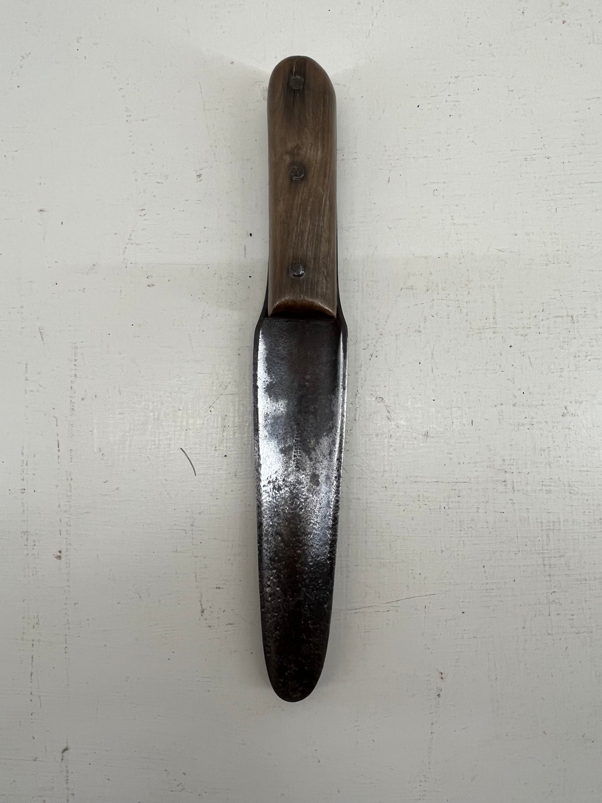 Skelton Fern Trowel