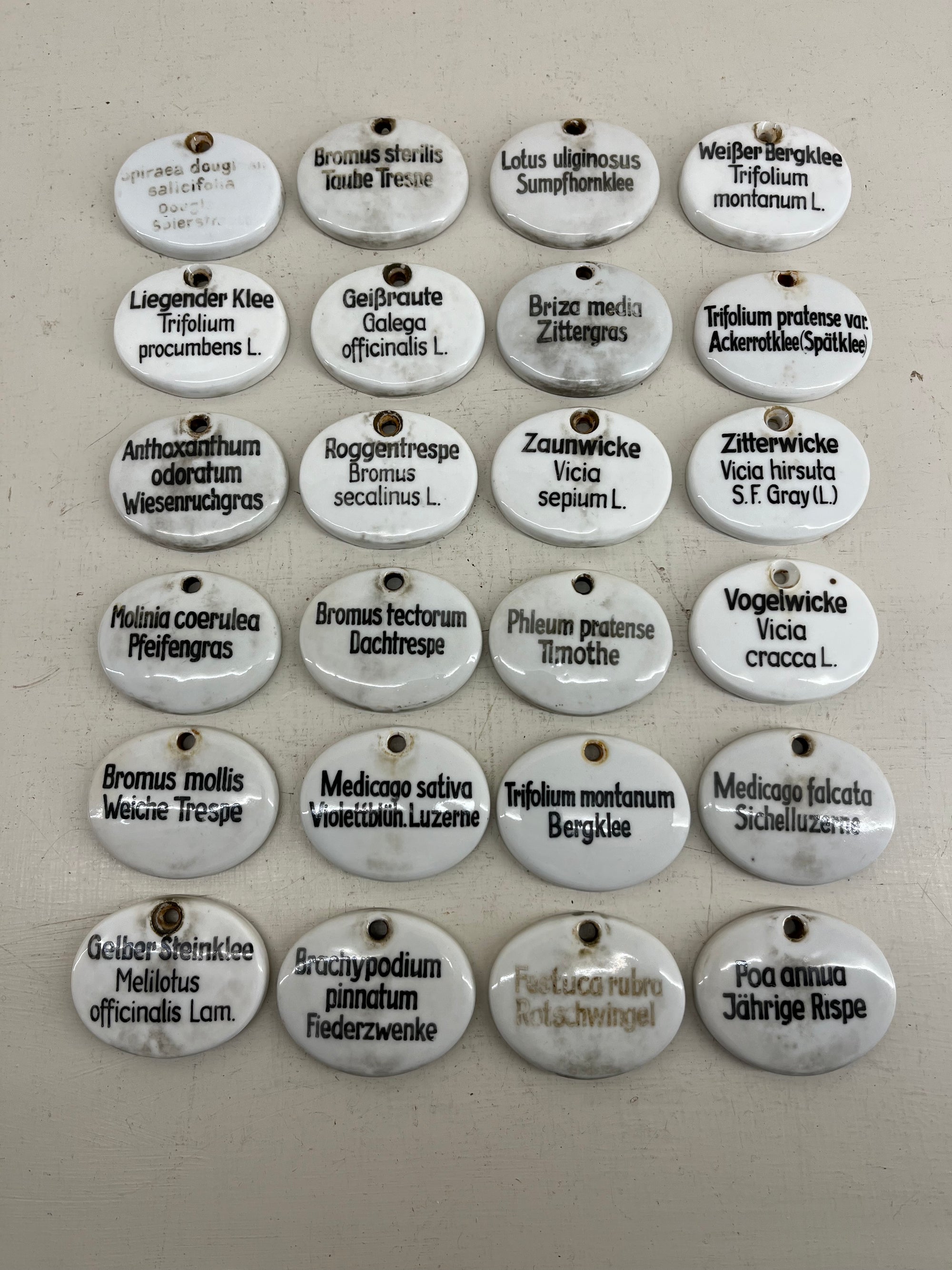 Ceramic Plant Labels