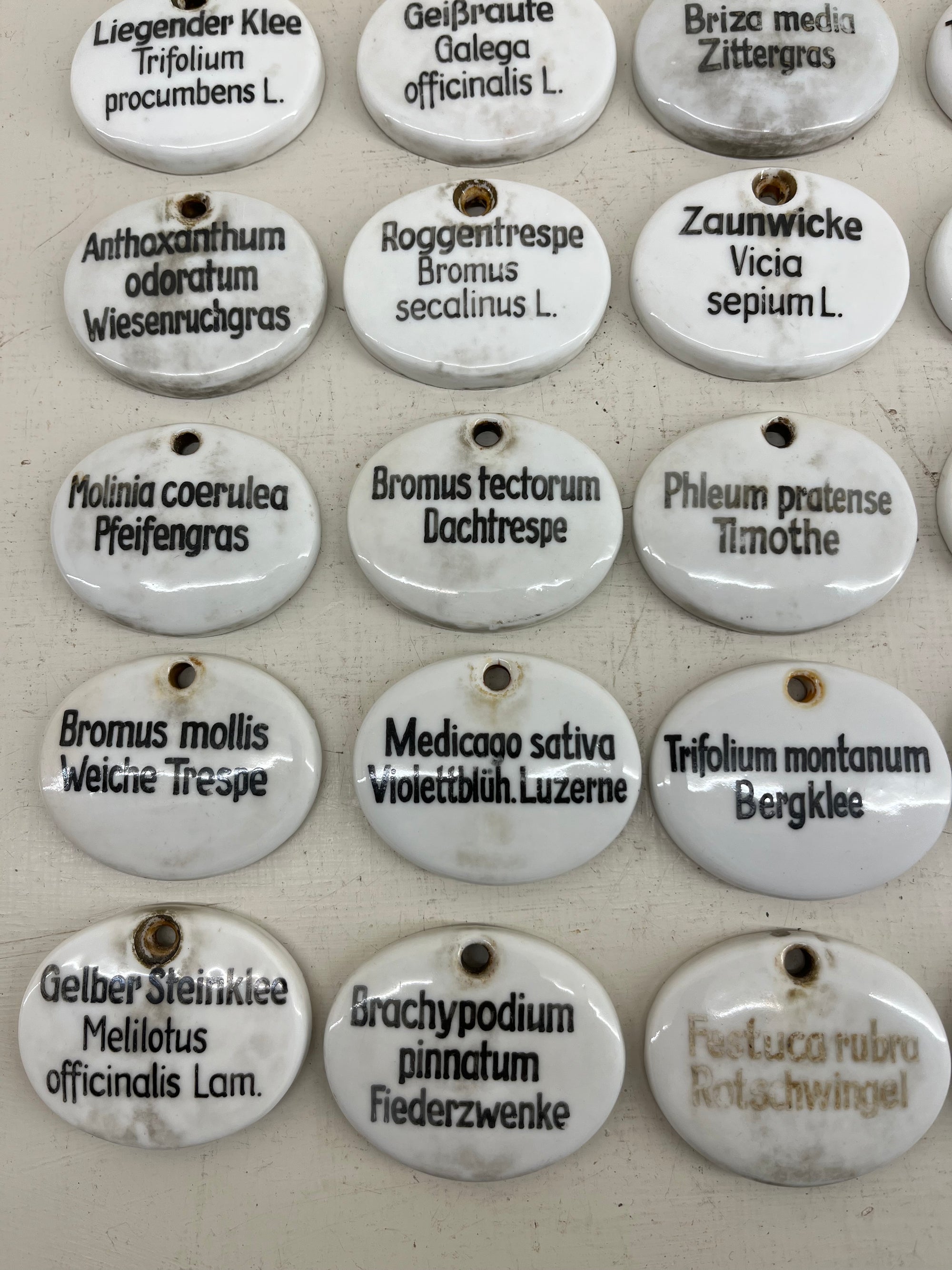 Ceramic Plant Labels