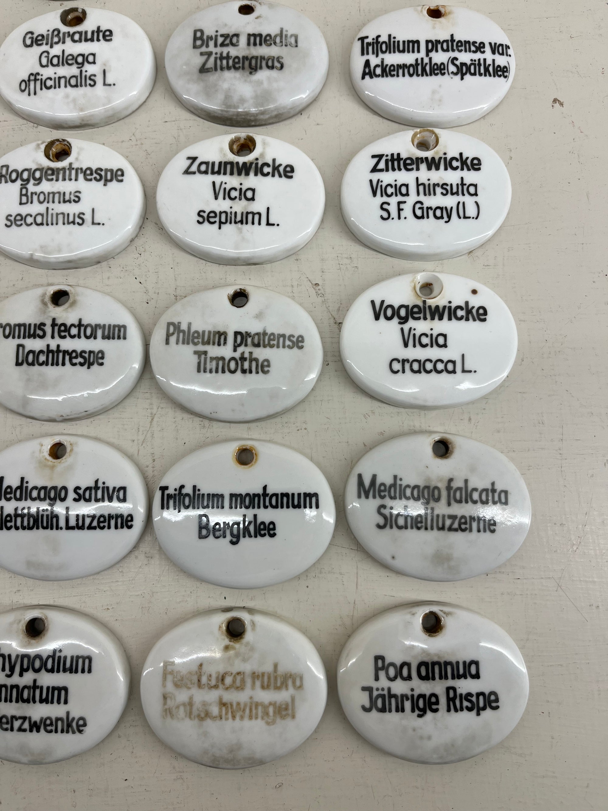 Ceramic Plant Labels
