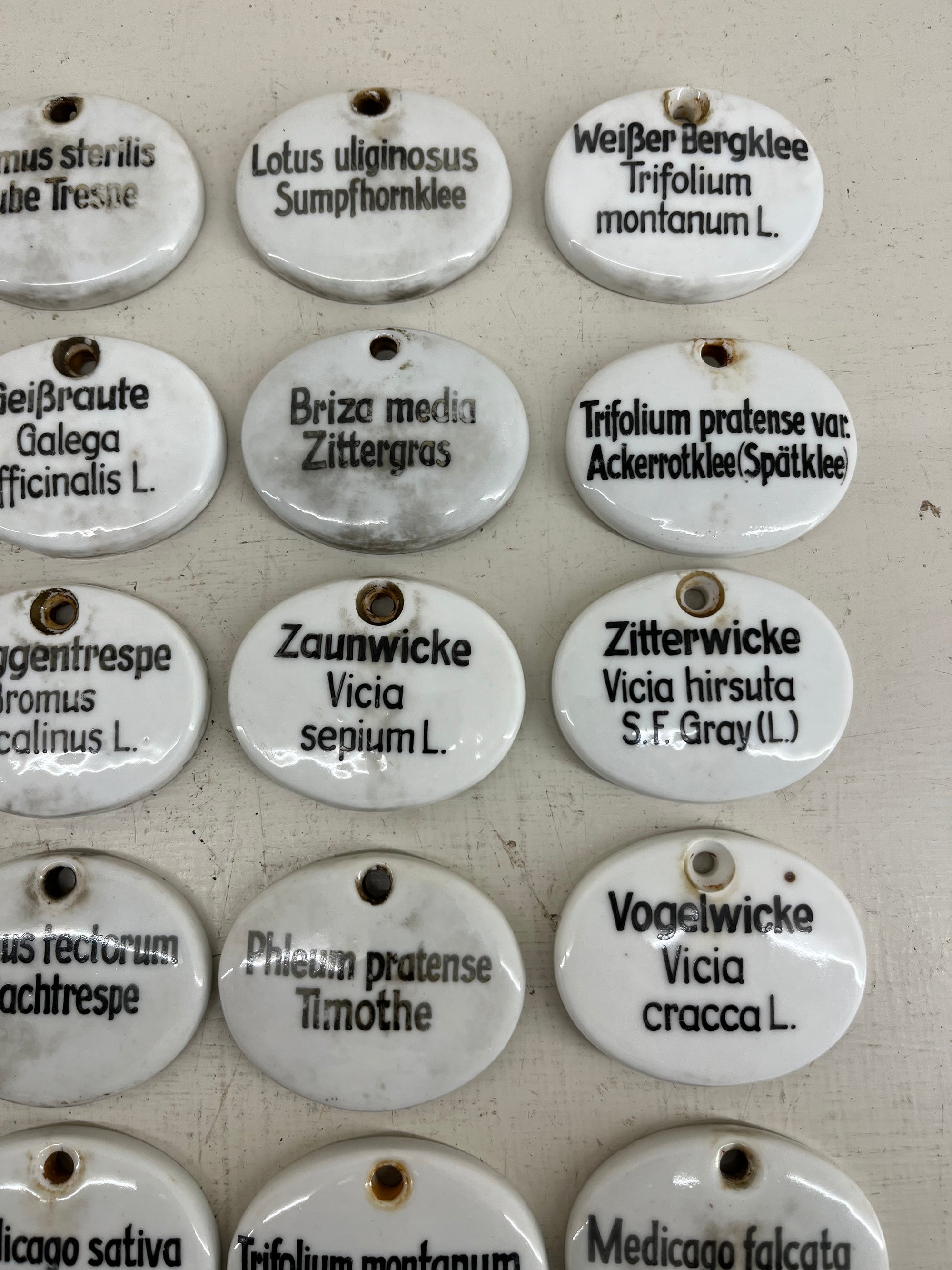 Ceramic Plant Labels