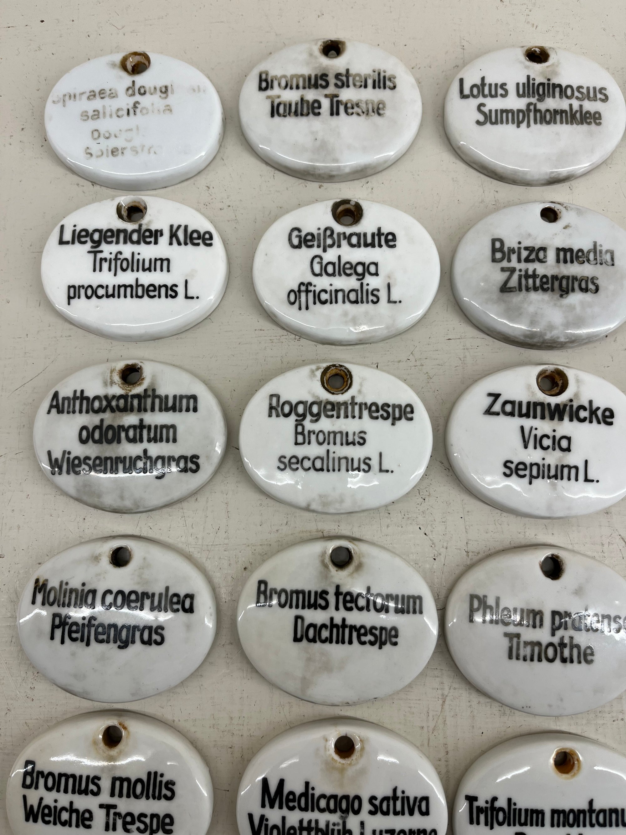 Ceramic Plant Labels