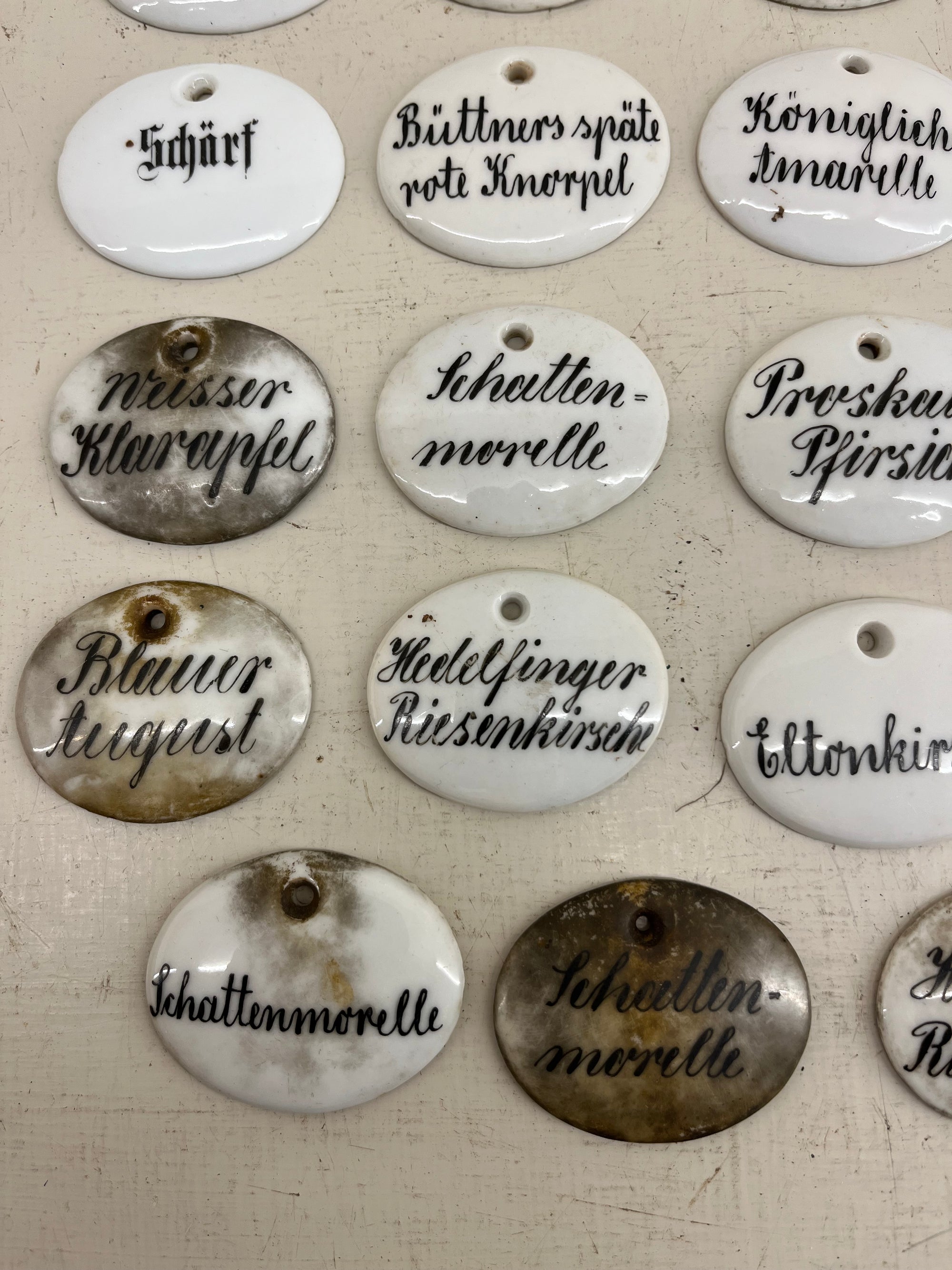 Ceramic Plant Labels