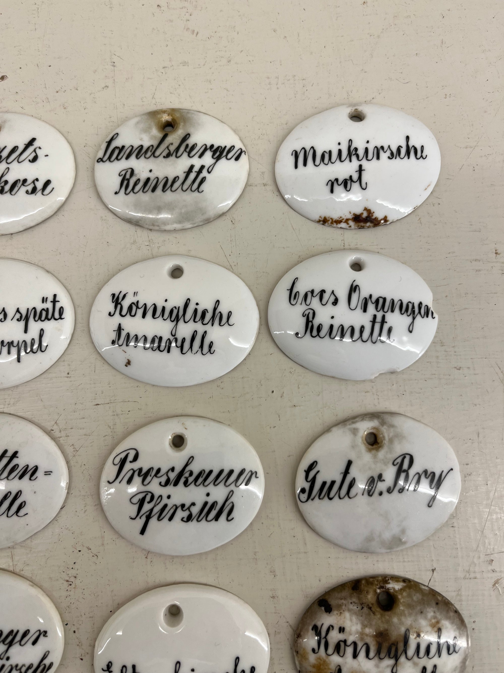 Ceramic Plant Labels