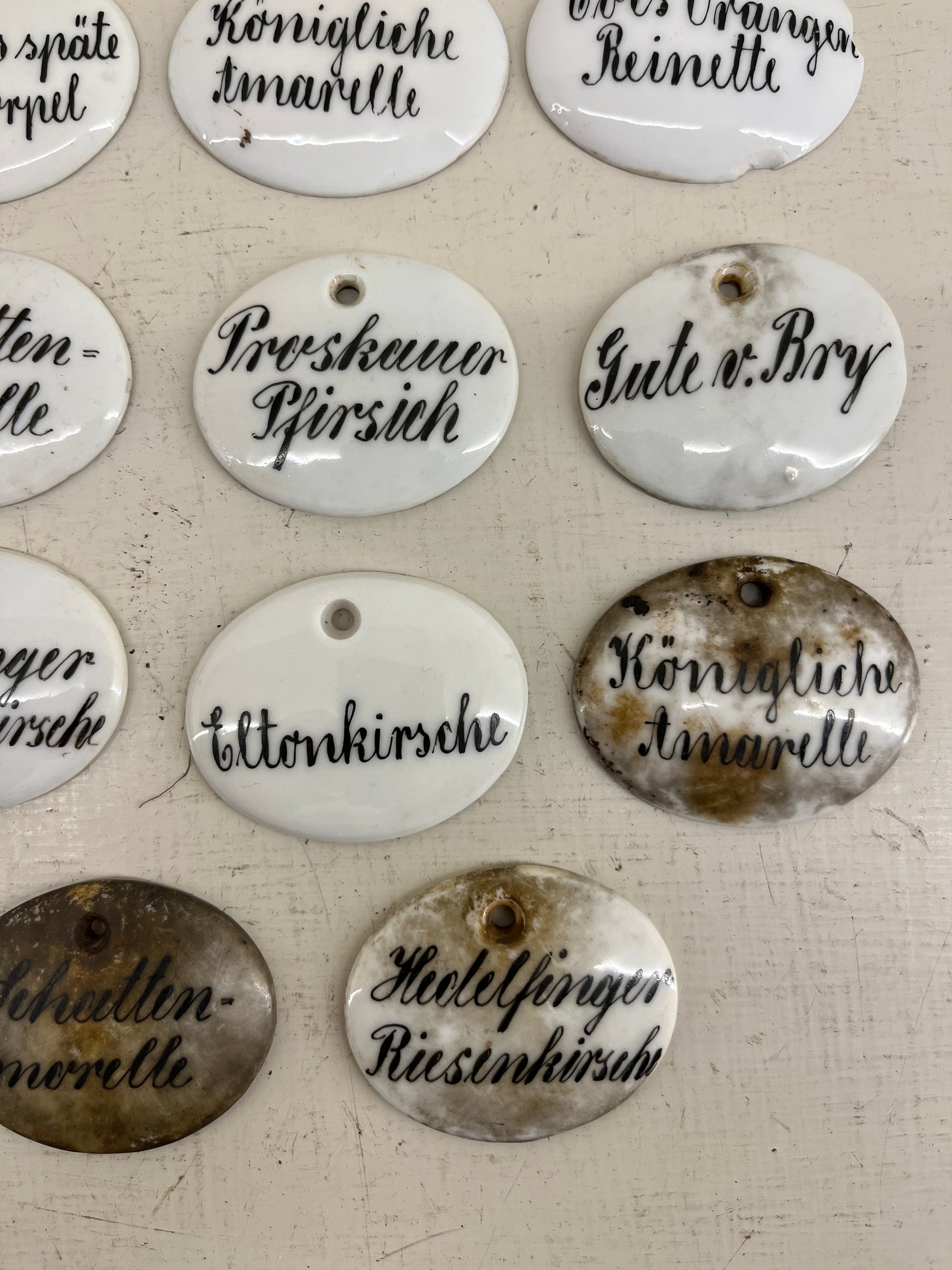 Ceramic Plant Labels
