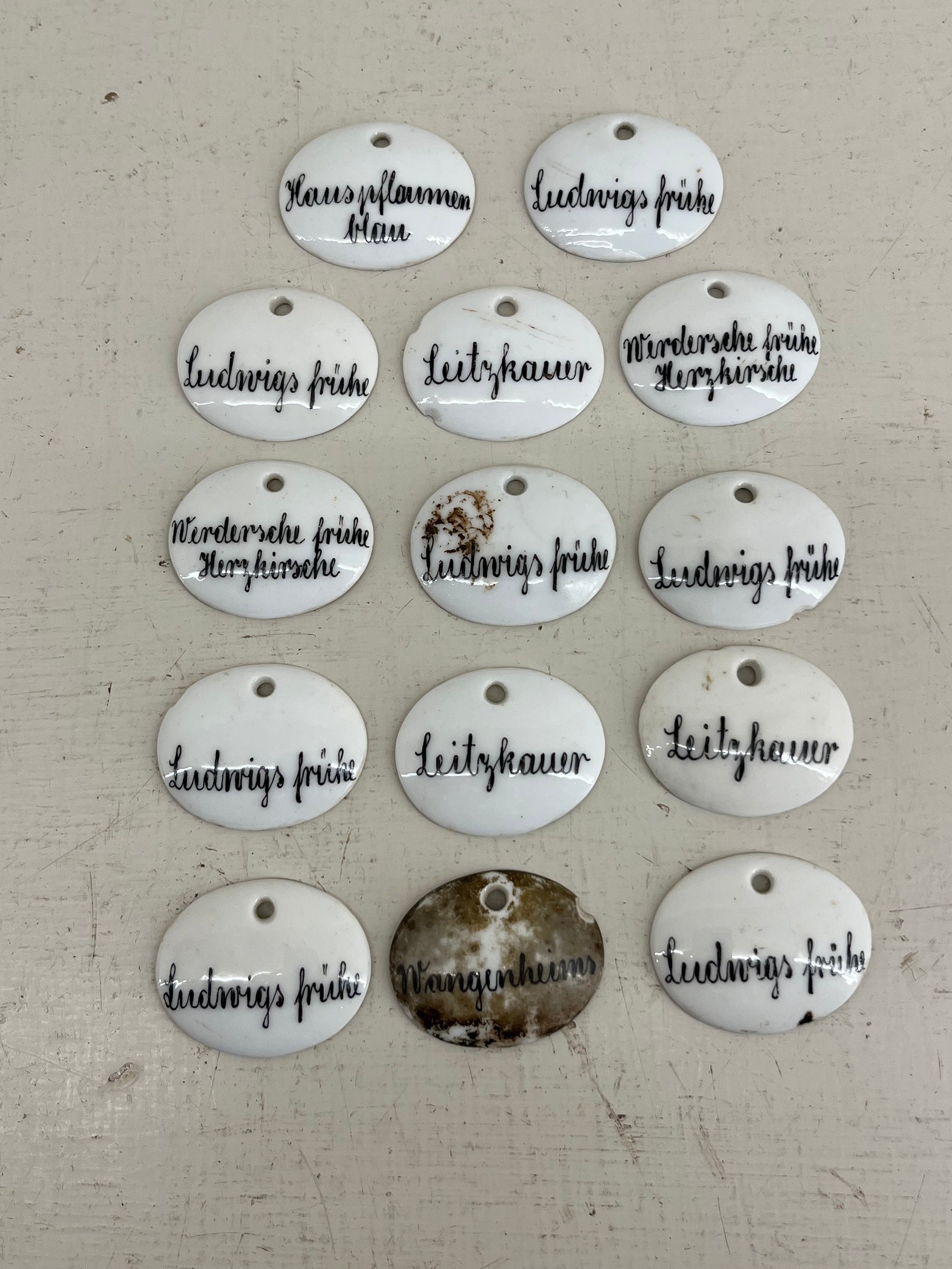 Ceramic Plant Labels