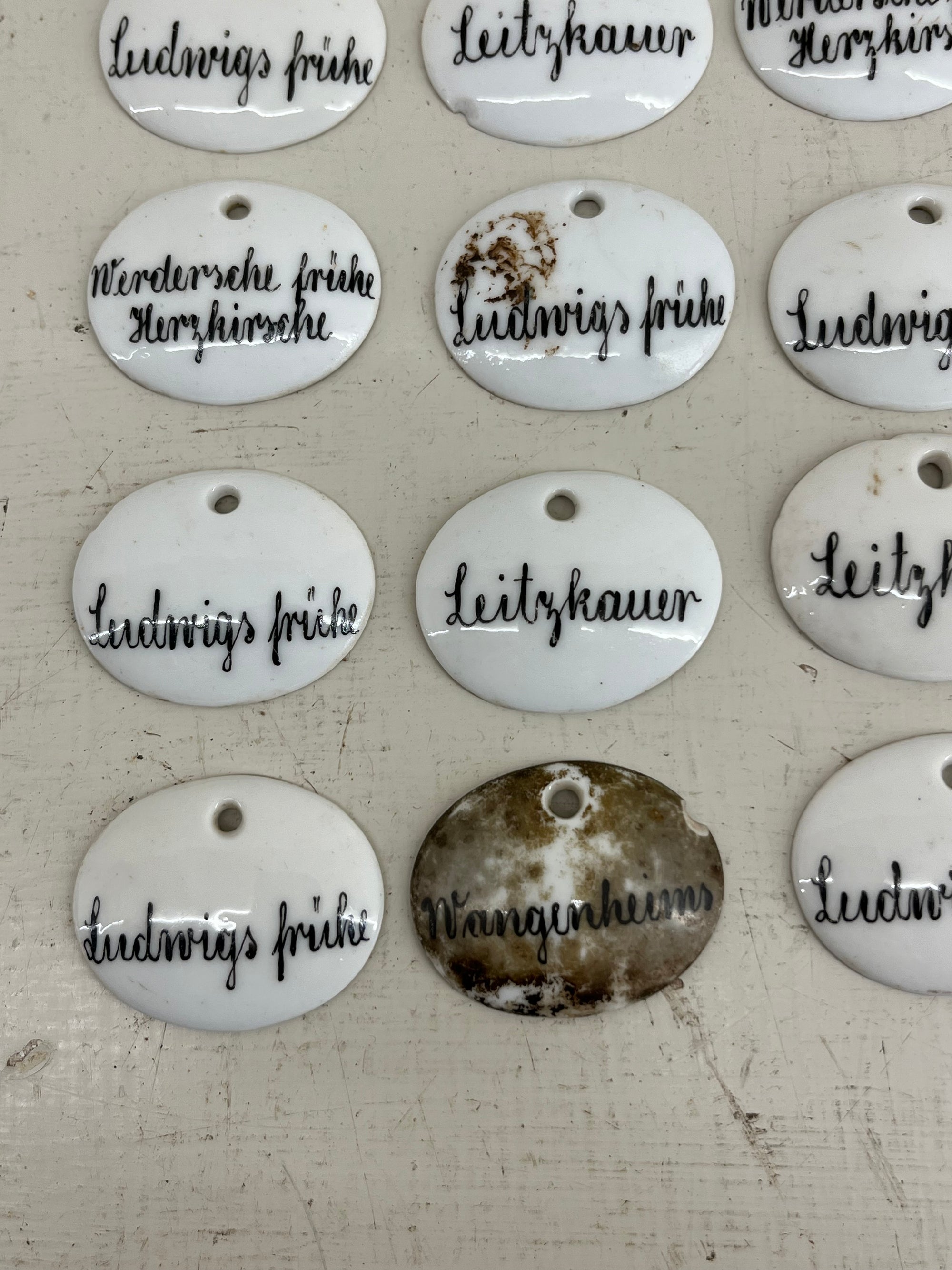 Ceramic Plant Labels