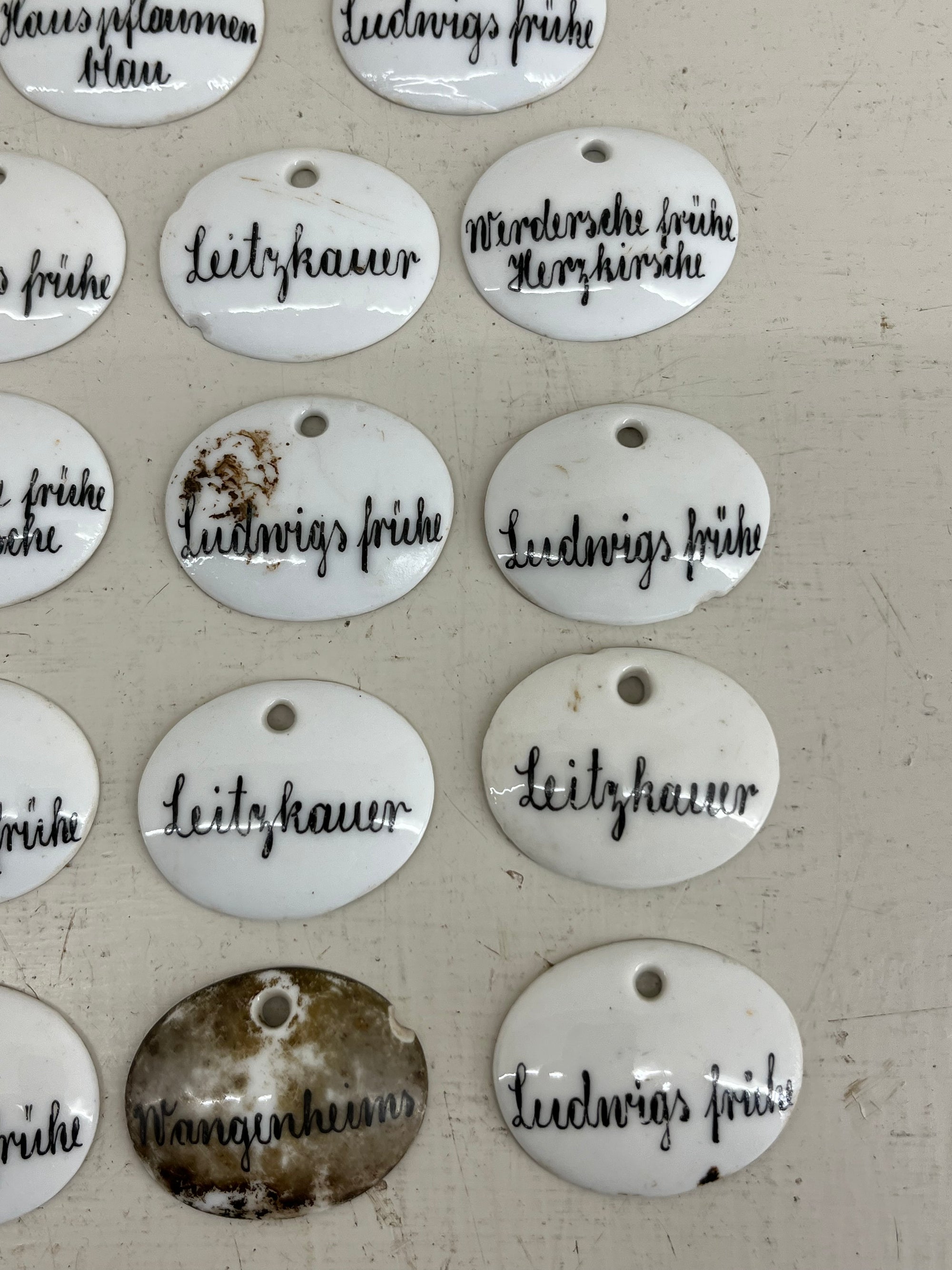Ceramic Plant Labels