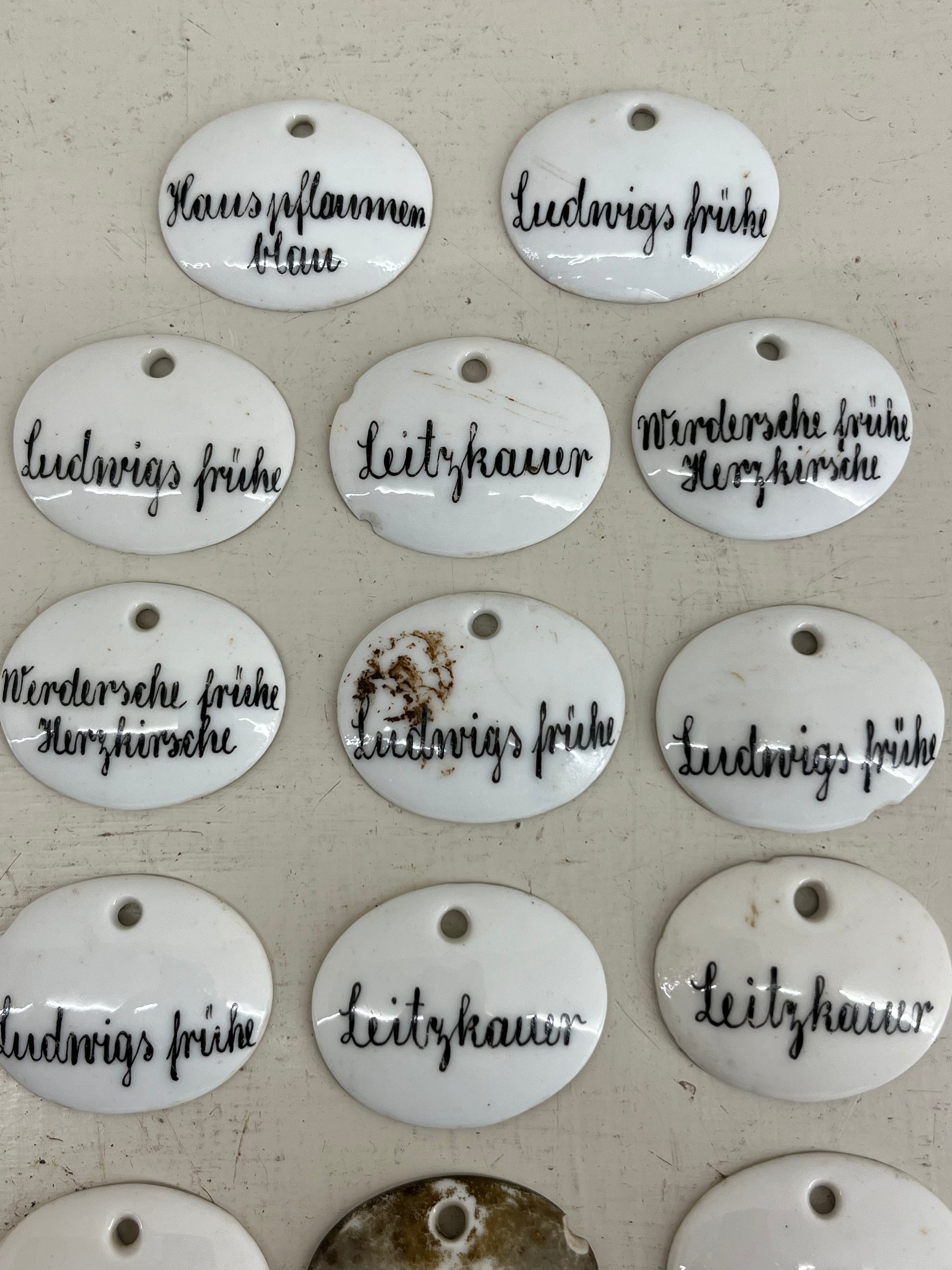Ceramic Plant Labels